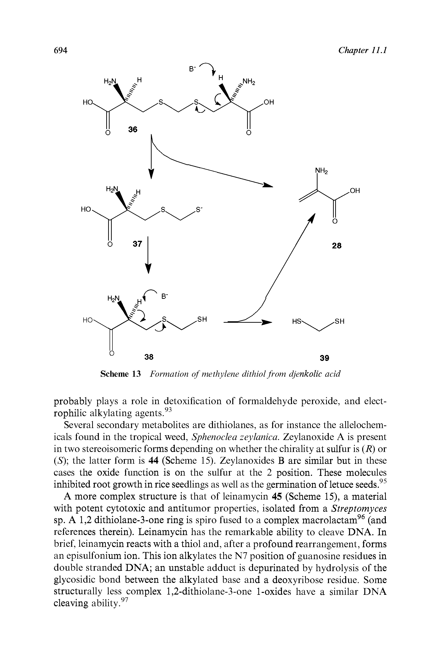 Scheme 13 Formation of methylene dithiol from djenkolic acid...