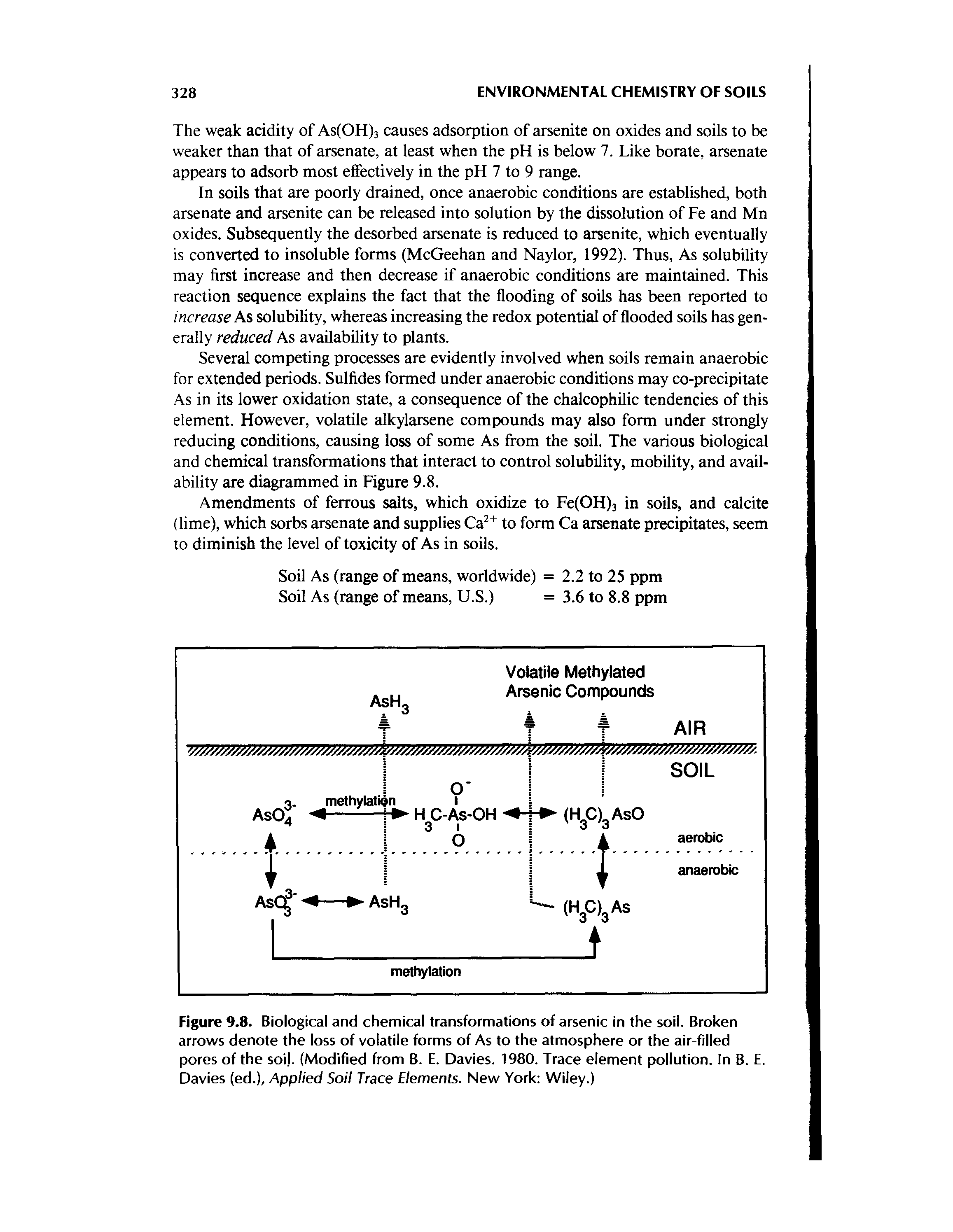 Figure 9.8. Biological and chemical transformations of arsenic in the soil. Broken arrows denote the loss of volatile forms of As to the atmosphere or the air-filled pores of the soi. (Modified from B. E. Davies. 1980. Trace element pollution. In B. E. Davies (ed.). Applied Soil Trace Elements. New York Wiley.)...