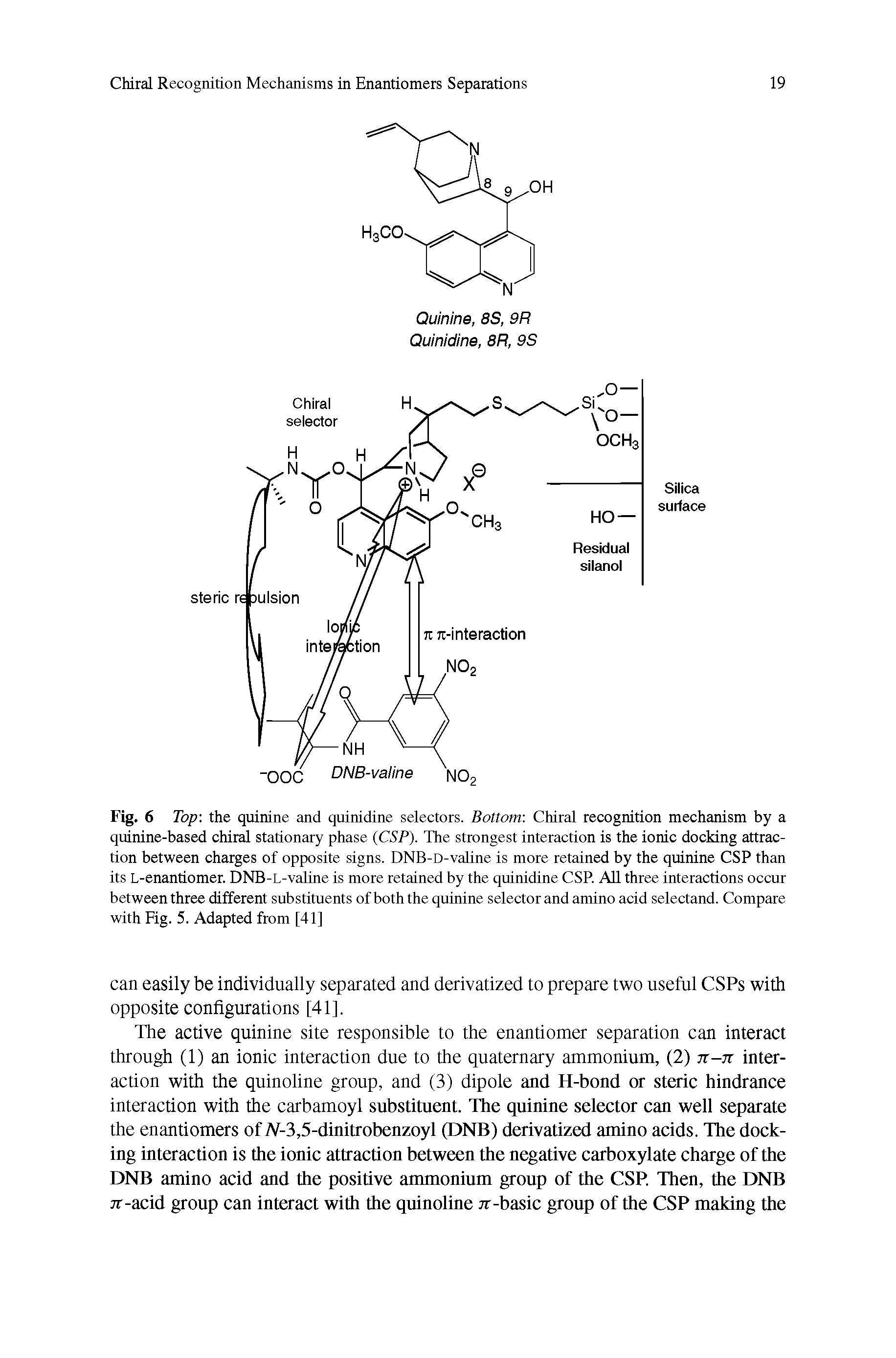 Fig. 6 Top the quinine and quinidine selectors. Bottom Chiral recognition mechanism by a quinine-based chiral stationary phase (CSP). The strongest interaction is the ionic docking attraction between charges of opposite signs. DNB-D-valine is more retained by the quinine CSP than its L-enantiomer. DNB-L-valine is more retained by the quinidine CSP. All three interactions occur between three different substituents of both the quinine selector and amino acid selectand. Compare with Fig. 5. Adapted from [41]...