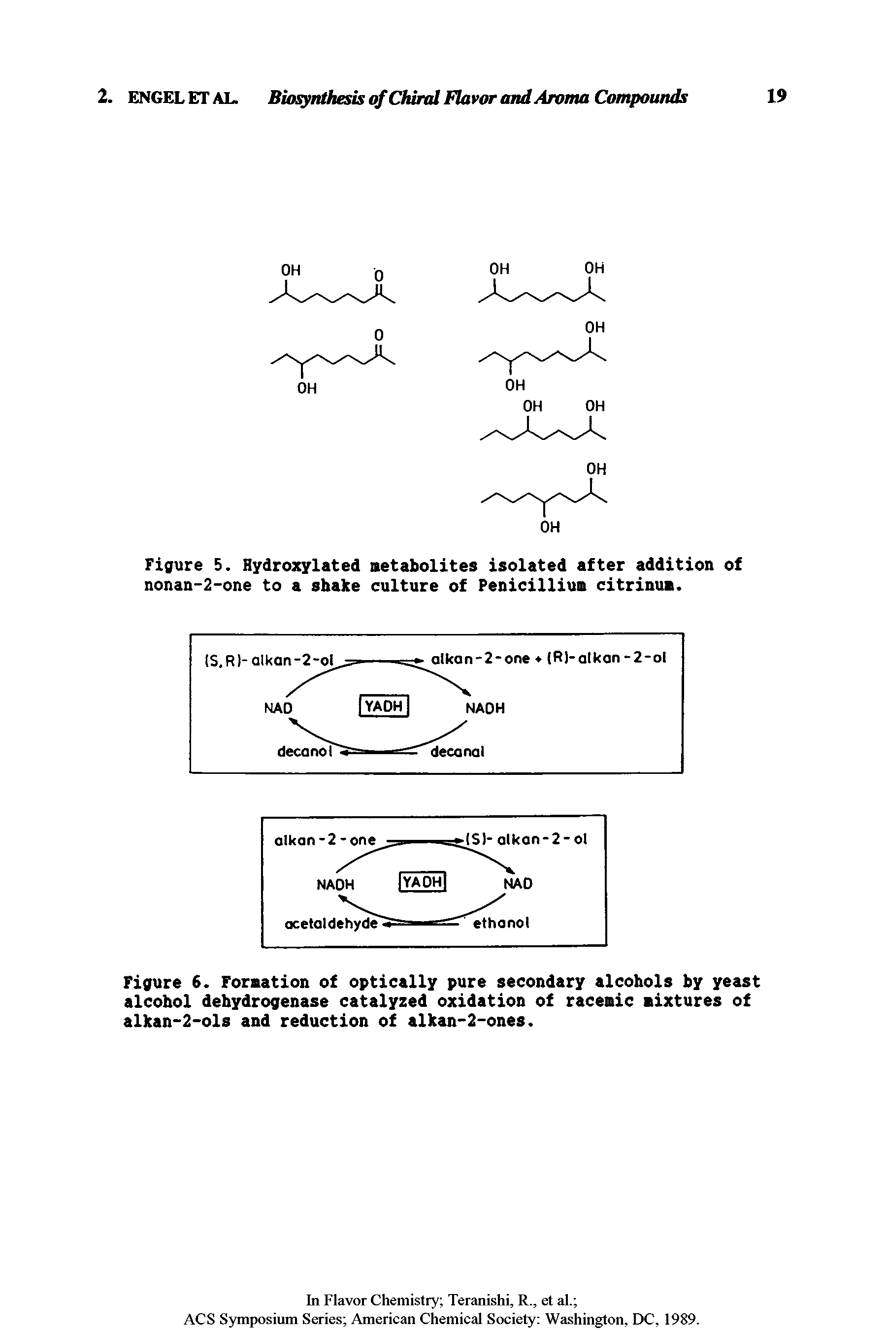 Figure 6. Fornation of optically pure secondary alcohols by yeast alcohol dehydrogenase catalyzed oxidation of racemic mixtures of alkan-2-ols and reduction of alkan-2-ones.