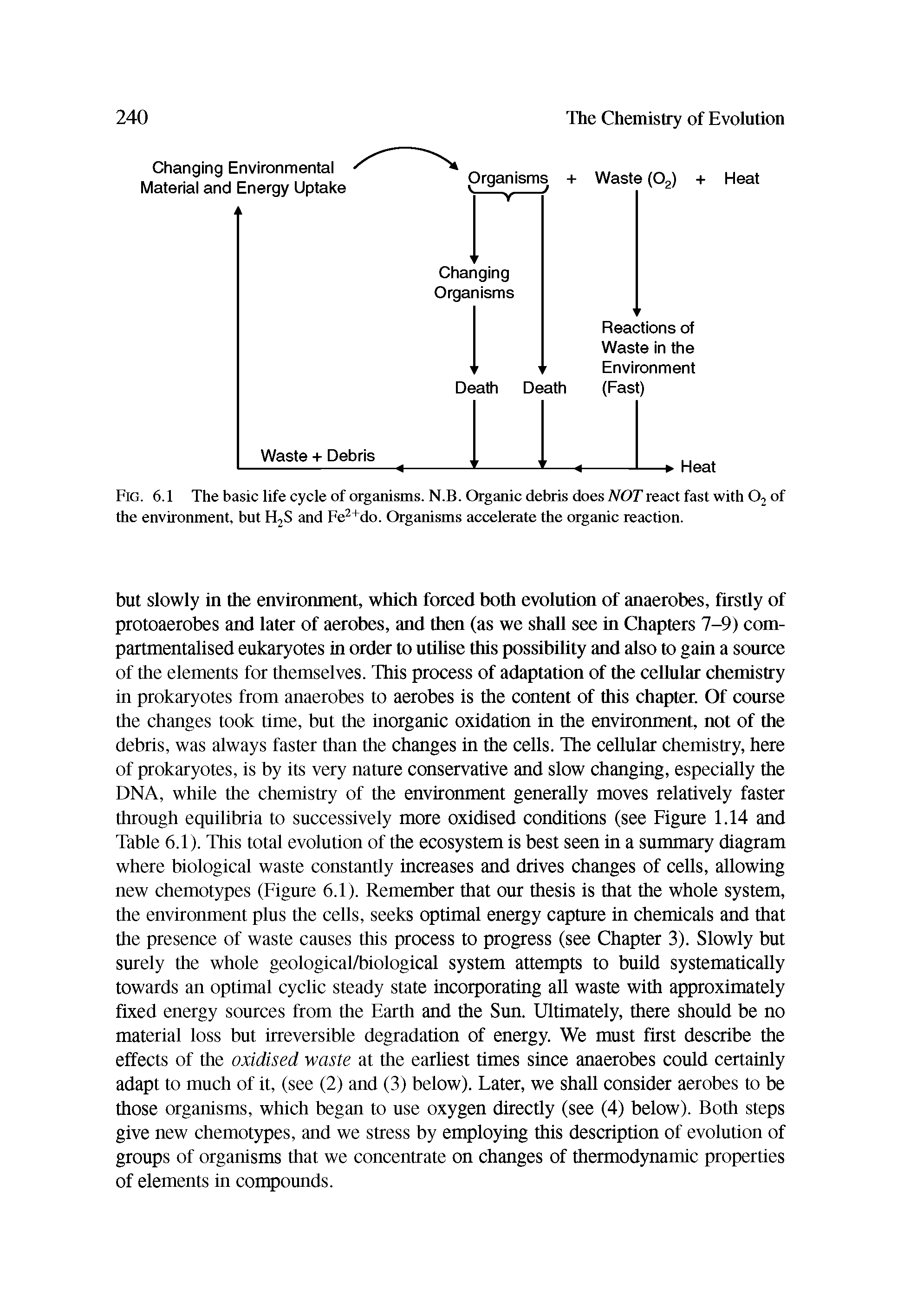Fig. 6.1 The basic life cycle of organisms. N.B. Organic debris does NOT react fast with 02 of the environment, but H2S and Fe2+do. Organisms accelerate the organic reaction.