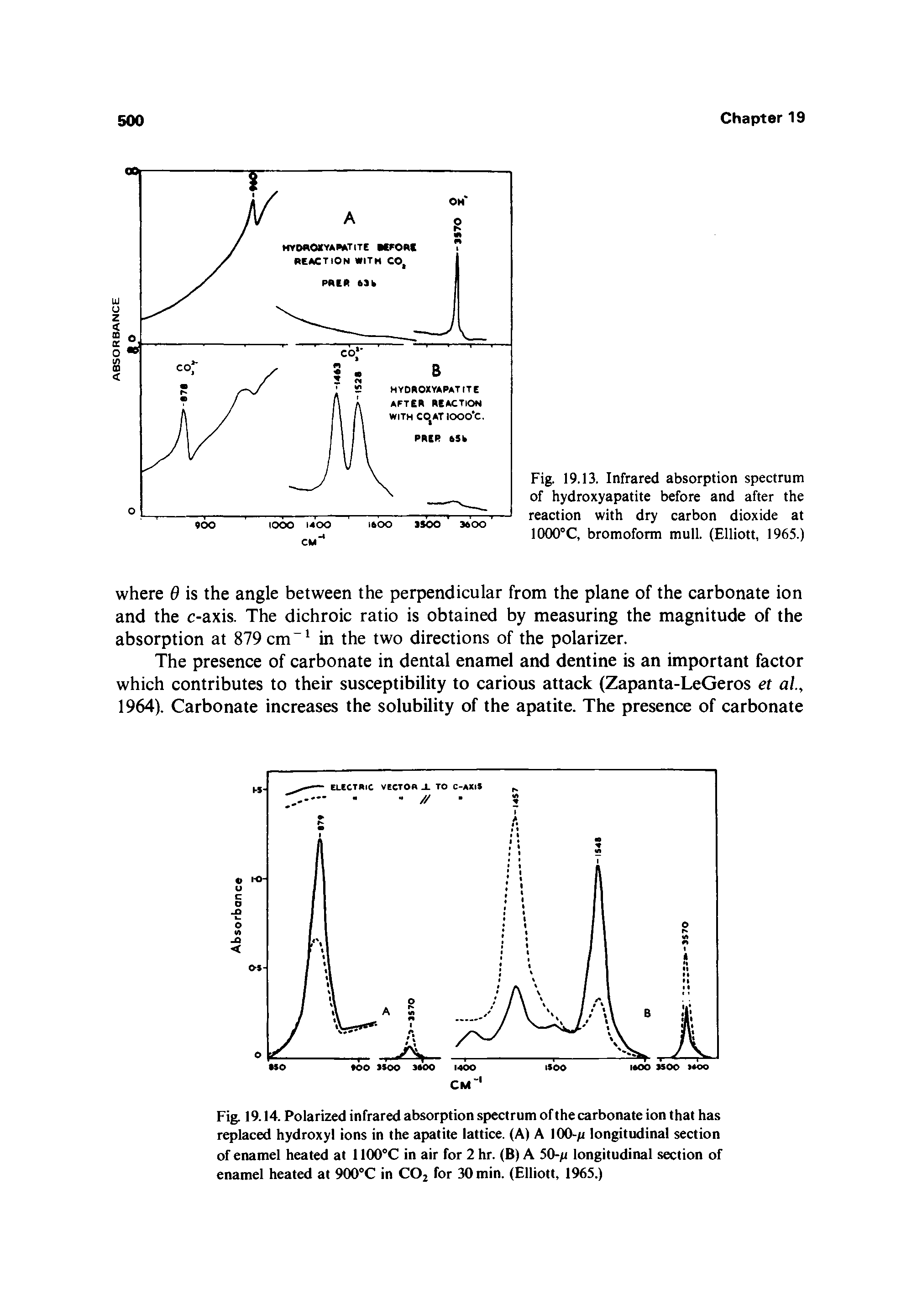 Fig. 19.13. Infrared absorption spectrum of hydroxyapatite before and after the reaction with dry carbon dioxide at 1000°C, bromoform mull. (Elliott, 1965.)...