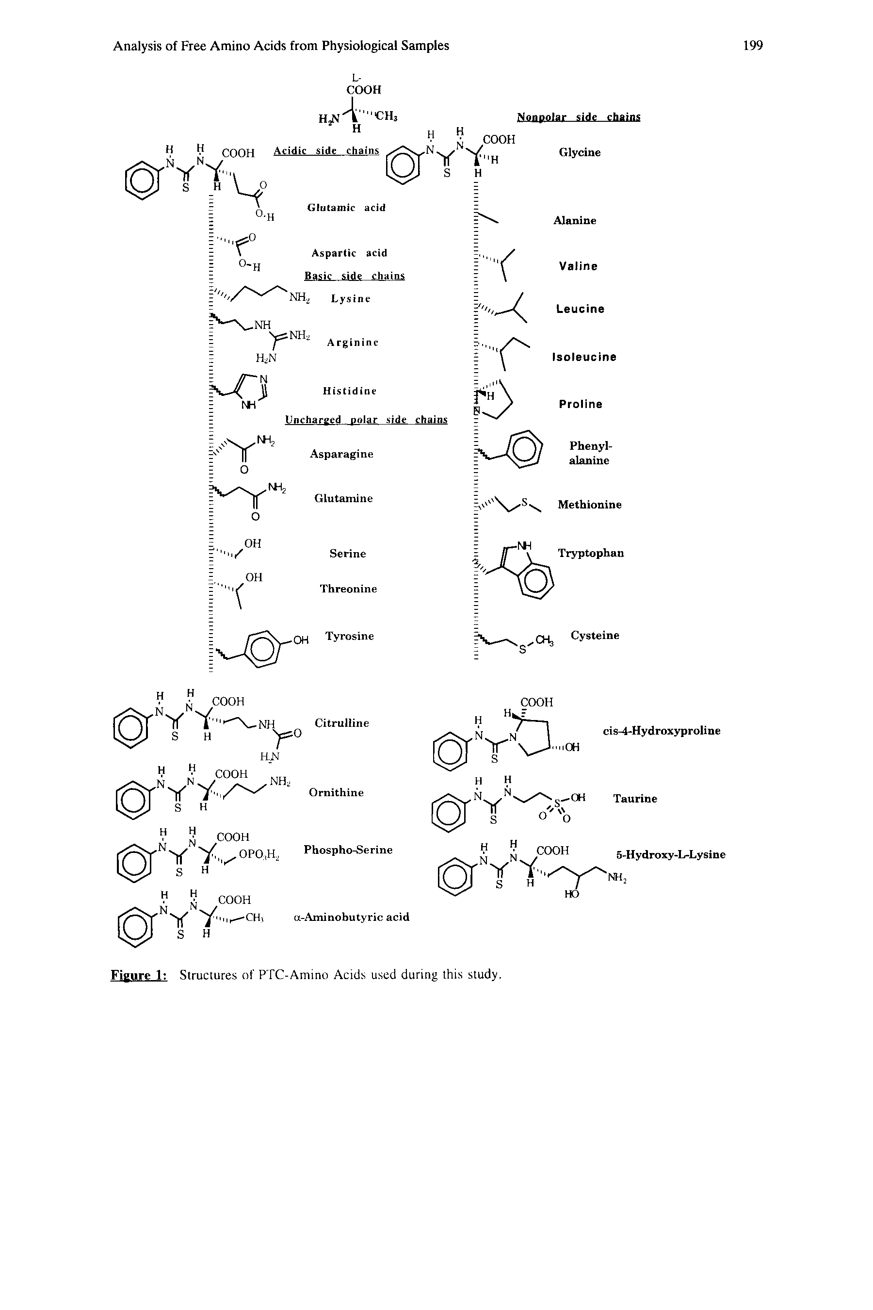 Figure 1 Structures of PTC-Amino Acids used during this study.