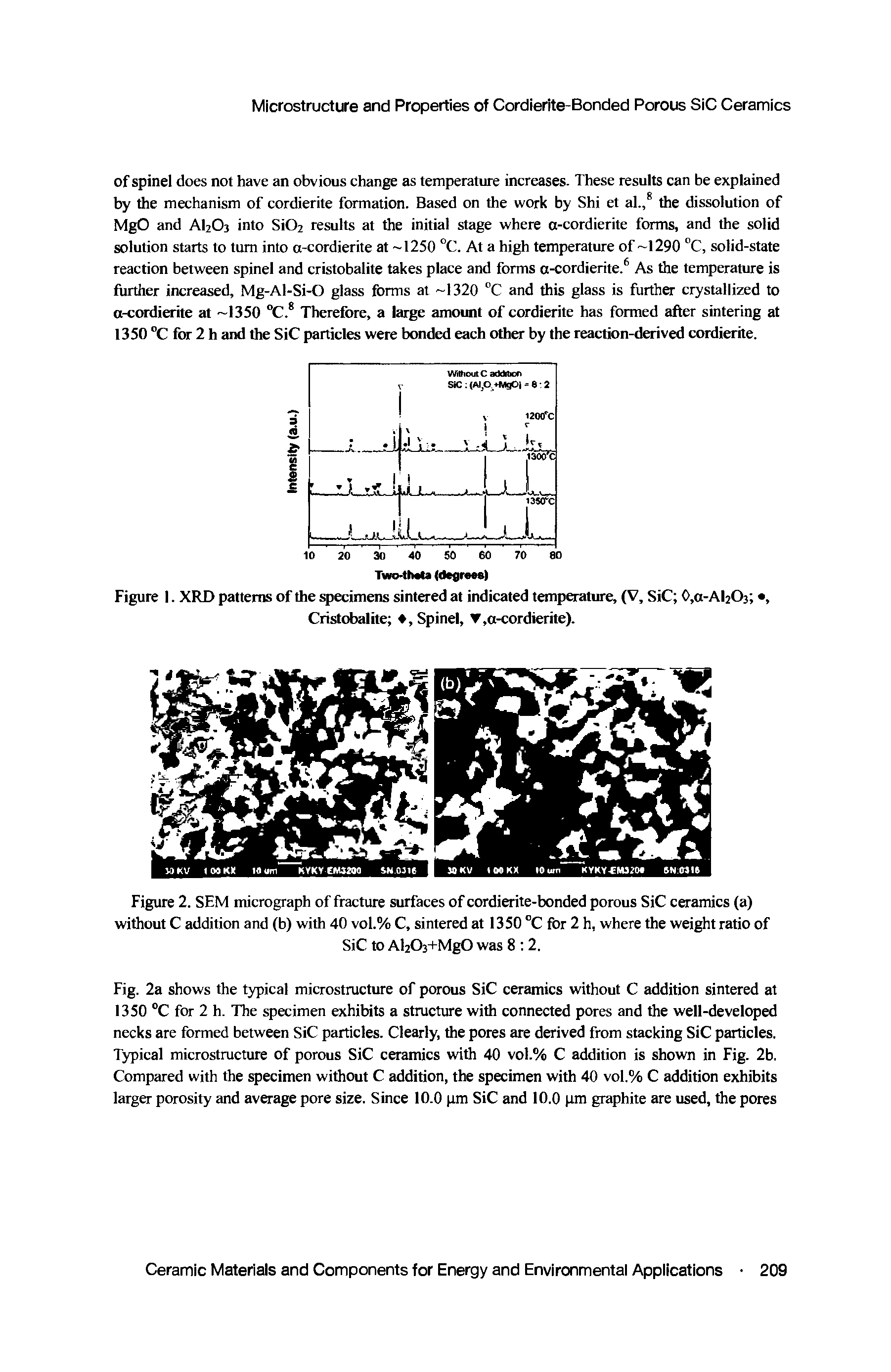 Figure 2. SEM micrograph of fracture surfaces of cordierite-bonded porous SiC ceramics (a) without C addition and (b) with 40 vol.% C, sintered at 1350 °C for 2 h, where the weight ratio of...
