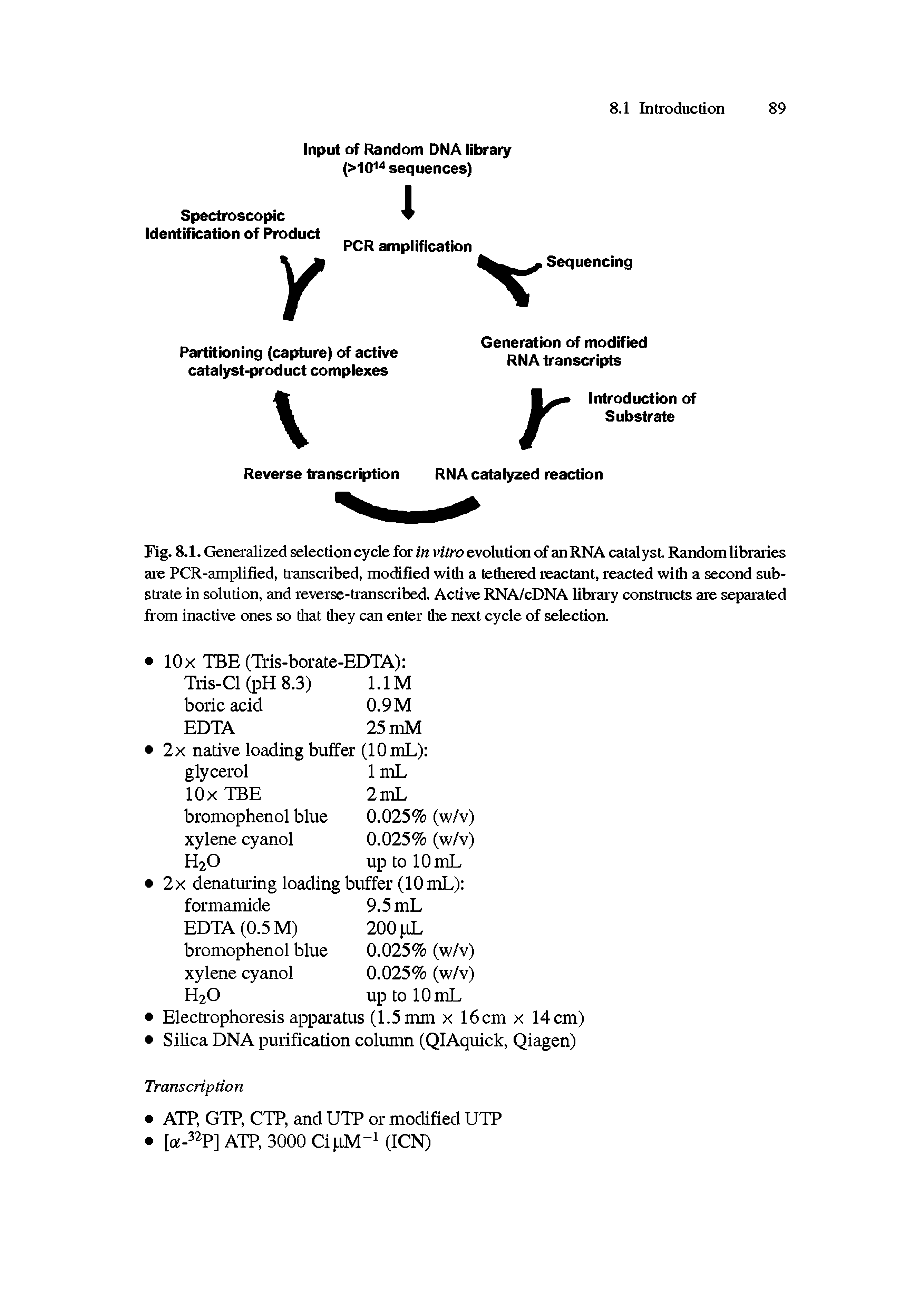 Fig. 8.1. Generalized selection cycle for in vitro evolution of an RNA catalyst. Random libraries are PCR-amplified, transcribed, modified with a tethered reactant, reacted with a second substrate in solution, and reverse-transcribed. Active RNA/cDNA library constructs are separated from inactive ones so that they can enter the next cycle of selection.