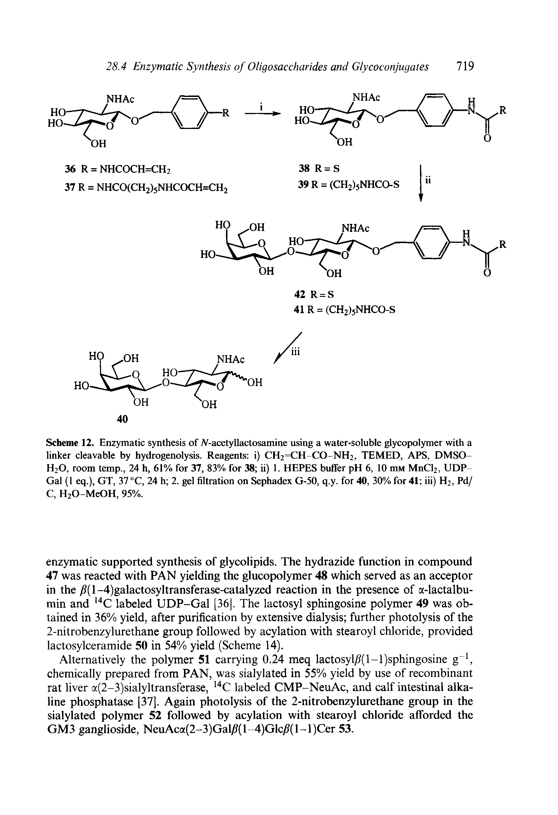 Scheme 12. Enzymatic synthesis of JV-acetyllactosamine using a water-soluble glycopolymer with a linker cleavable by hydrogenolysis. Reagents i) CH2=CH CO-NH2, TEMED, APS, DMSO-H2O, room temp., 24 h, 61% for 37, 83% for 38 ii) 1. HEPES buifer pH 6, 10 mM MnCl2, UDP-Gal (1 eq.), GT, 37 °C, 24 h 2. gel filtration on Sephadex G-50, q.y. for 40, 30% for 41 iii) H2, Pd/ C, H20-Me0H, 95%.