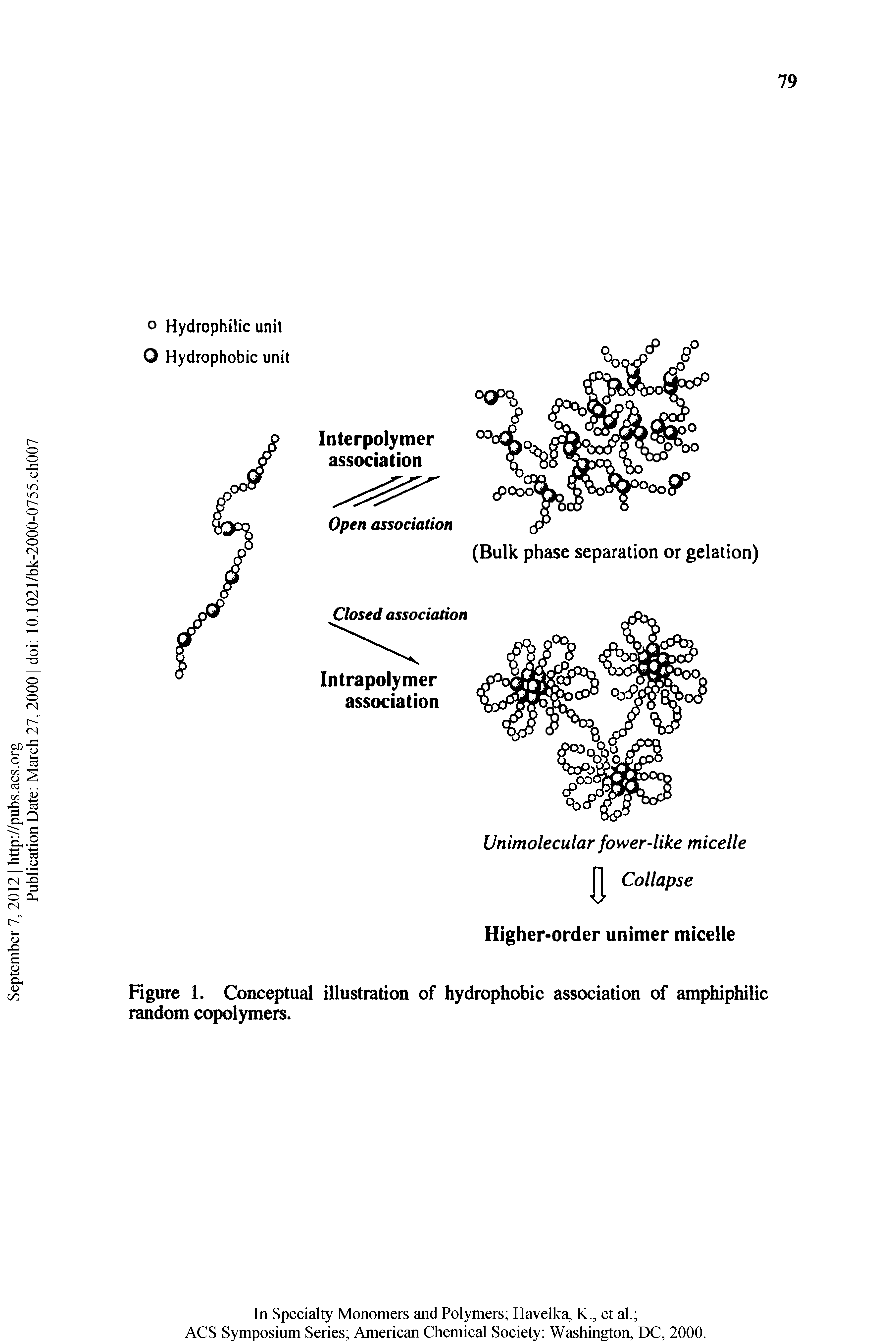 Figure 1. Conceptual illustration of hydrophobic association of amphiphilic random copolymers.