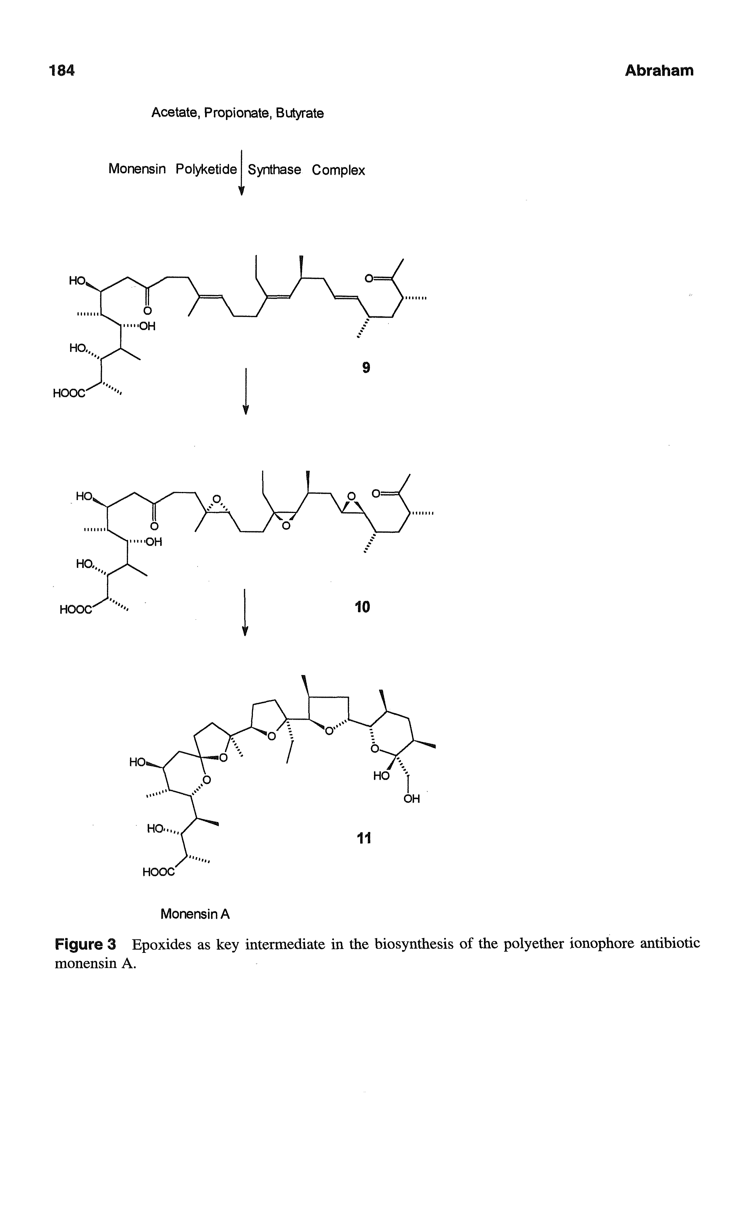 Figure 3 Epoxides as key intermediate in the biosynthesis of the polyether ionophore antibiotic monensin A.