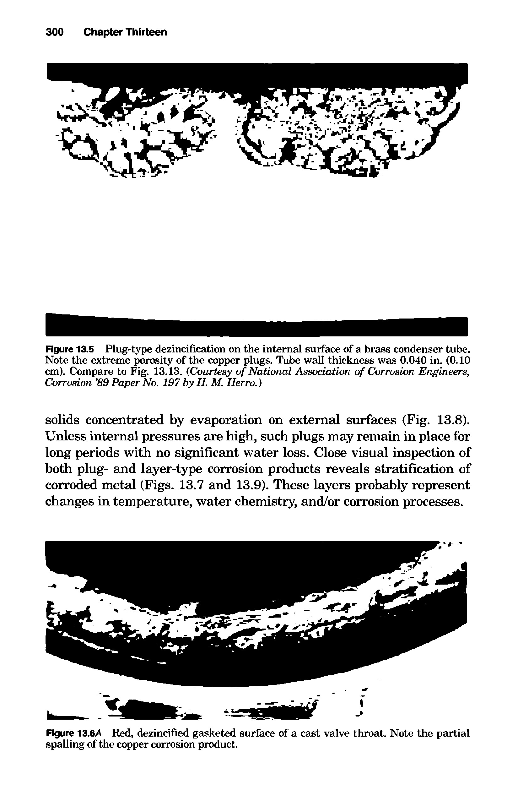 Figure 13.5 Plug-type dezincification on the internal surface of a brass condenser tube. Note the extreme porosity of the copper plugs. Tube wall thickness was 0.040 in. (0.10 cm). Compare to Fig. 13.13. (Courtesy of National Association of Corrosion Engineers, Corrosion 89 Paper No. 197 by H. M. Herro.)...