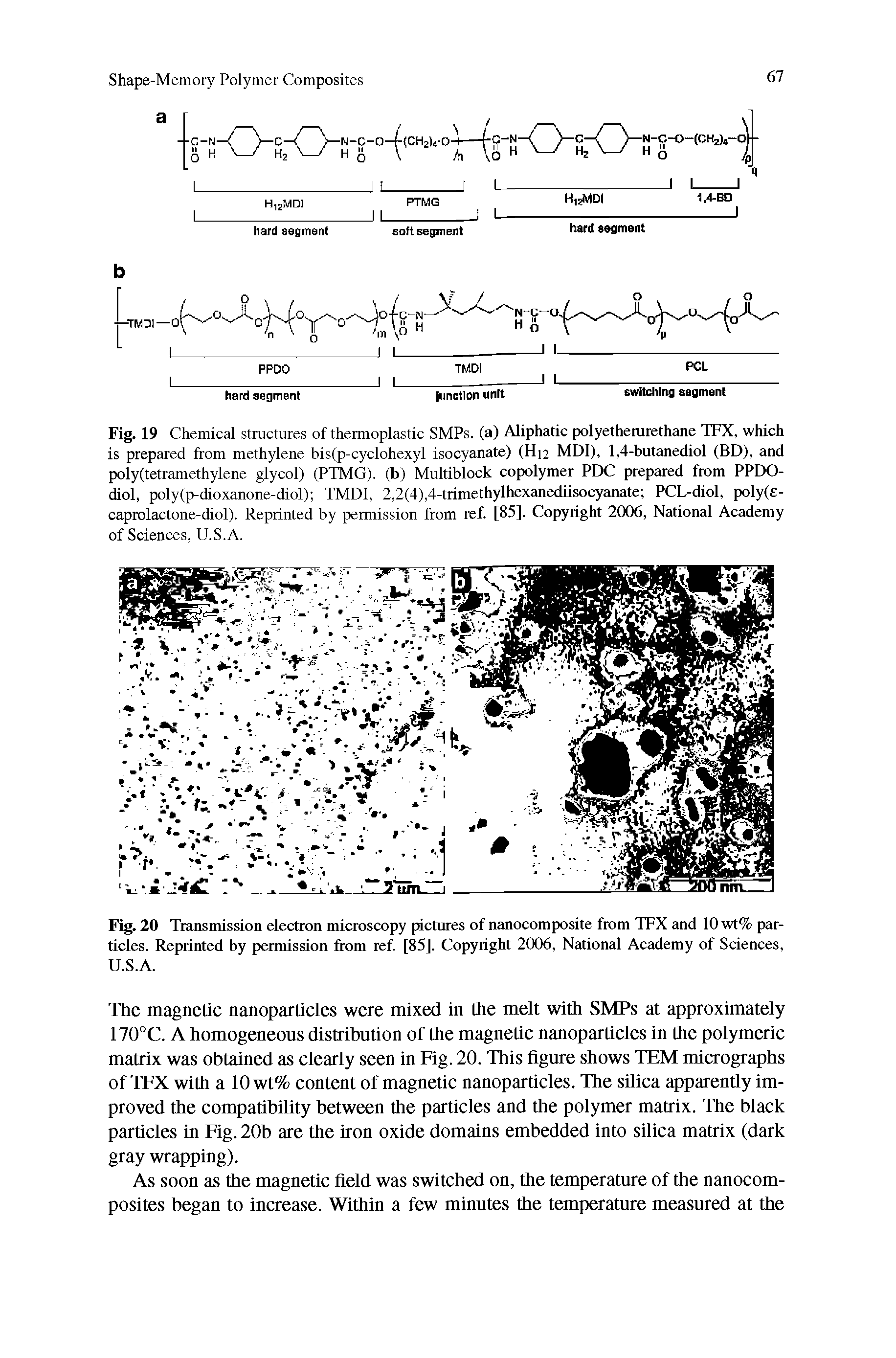 Fig. 20 Transmission electron microscopy pictures of nanocomposite from TFX and 10 wt% particles. Reprinted by permission from ref. [85]. Copyright 2006, National Academy of Sciences, U.S.A.