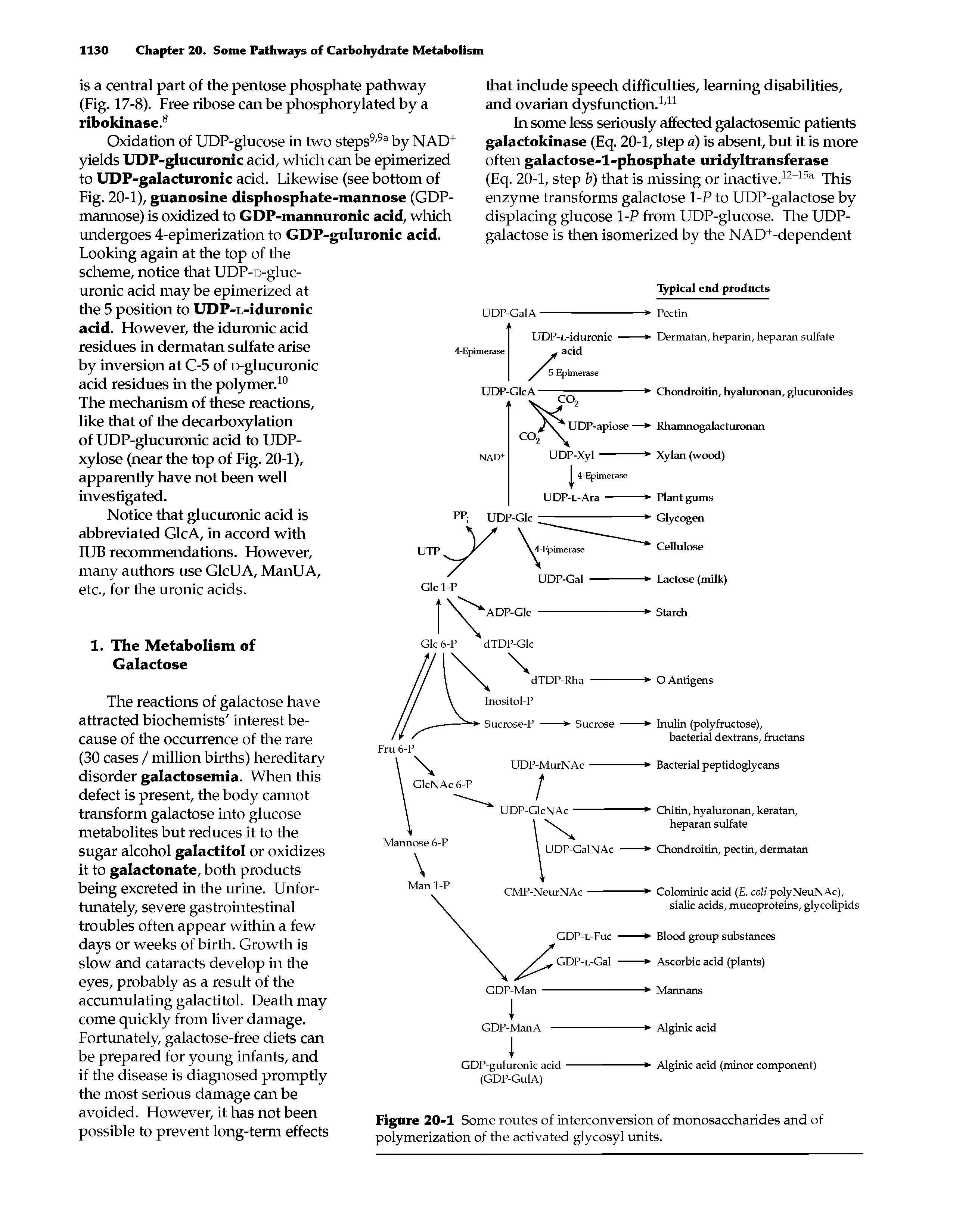 Figure 20-1 Some routes of interconversion of monosaccharides and of polymerization of the activated glycosyl units.