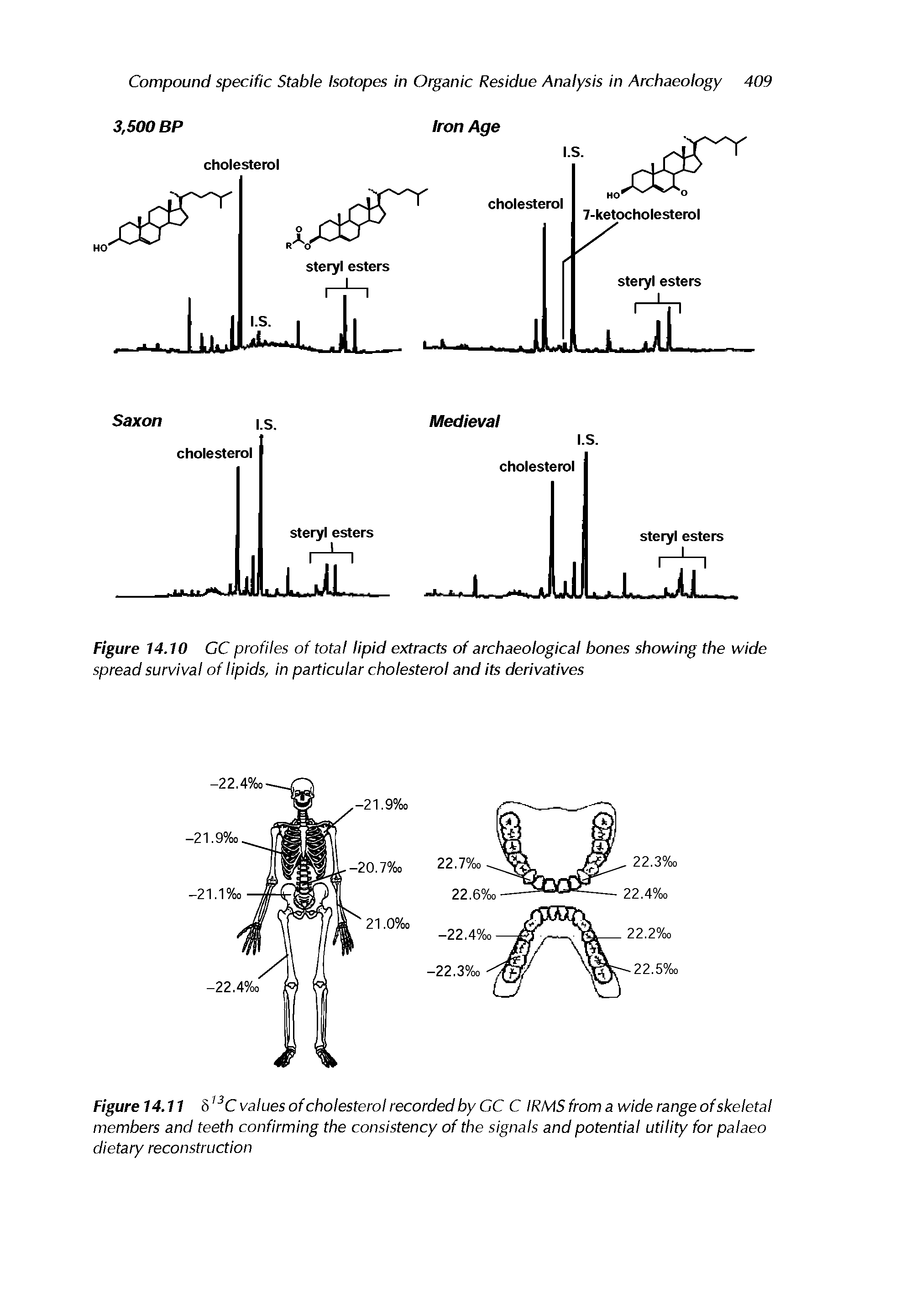 Figure 14.10 GC profiles of total lipid extracts of archaeological bones showing the wide spread survival of lipids, in particular cholesterol and its derivatives...