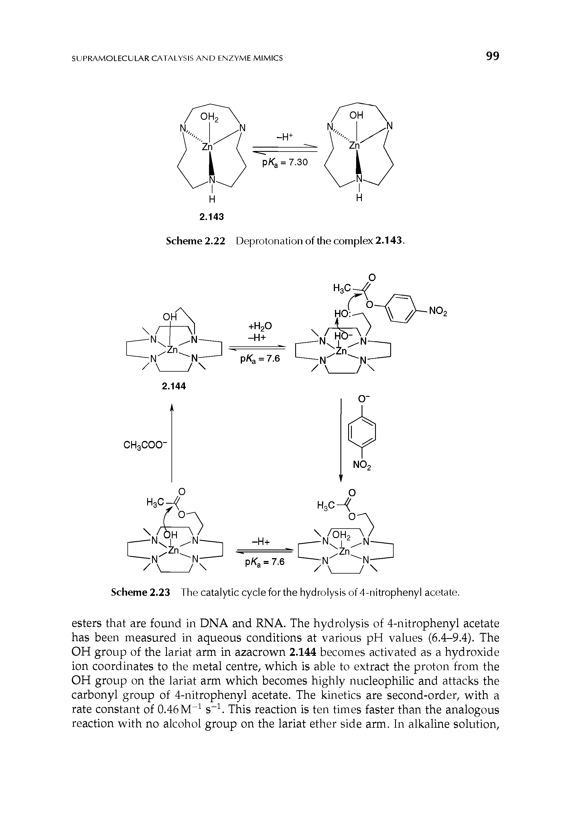 Scheme 2.23 The catalytic cycle for the hydrolysis of 4-nitrophenyl acetate.