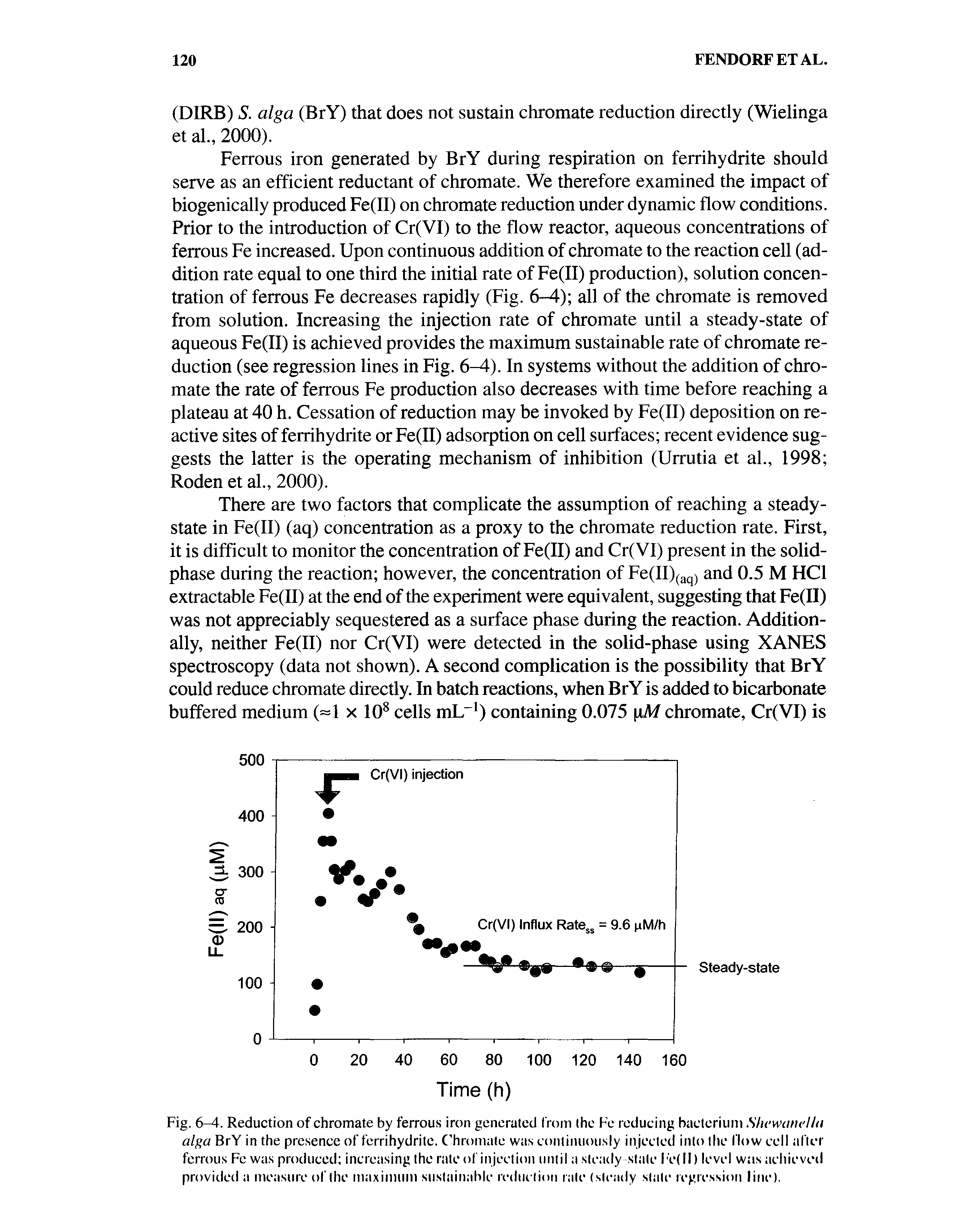 Fig. 6-4. Reduction of chromate by ferrous iron generated from (he Fe reducing bacterium ShewemeUtt alga BrY in the presence of ferrihydrite. C hromate was continuously injected into (he I low cell after ferrous Fe was produced increasing the rate of injection until a steady state Fe(II) level was achieved provided a measure of (he maximum sustainable rediietion rate (steady state regressioti line).