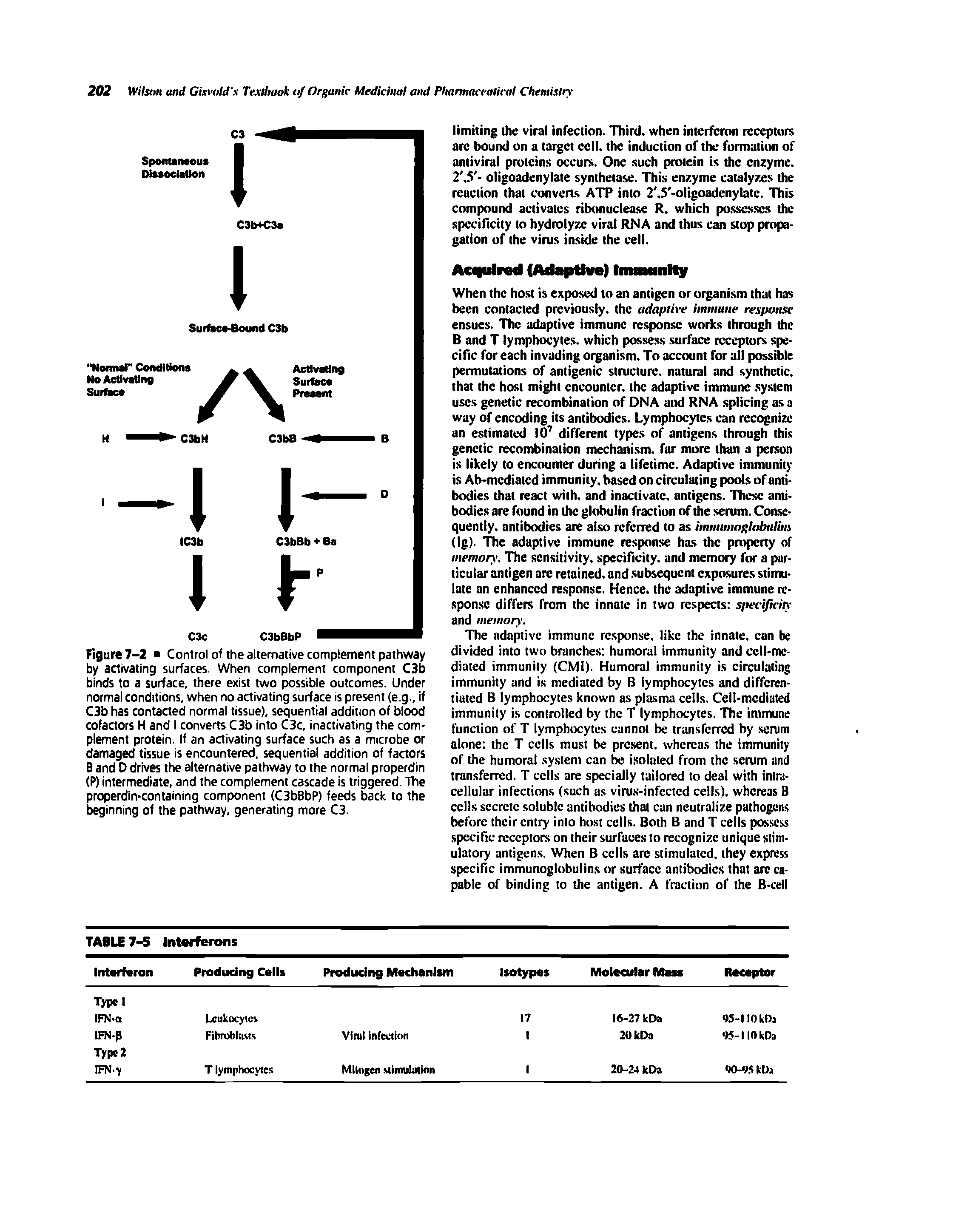 Figure 7-2 Control of the alternative complement pathway by activating surfaces. When complement component C3b binds to a surface, there exist two possible outcomes. Under normal conditions, when no activating surface is present (e g., if C3b has contacted normal tissue), sequential addition of blood cofactors H and I converts C3b into C3c, inactivating the complement protein. If an activating surface such as a microbe or damaged tissue is encountered, sequential addition of factors B and D drives the alternative pathway to the normal properdin (P) intermediate, and the complement cascade is triggered. The properdin-containing component (C3bBbP) feeds back to the beginning of the pathway, generating more C3.