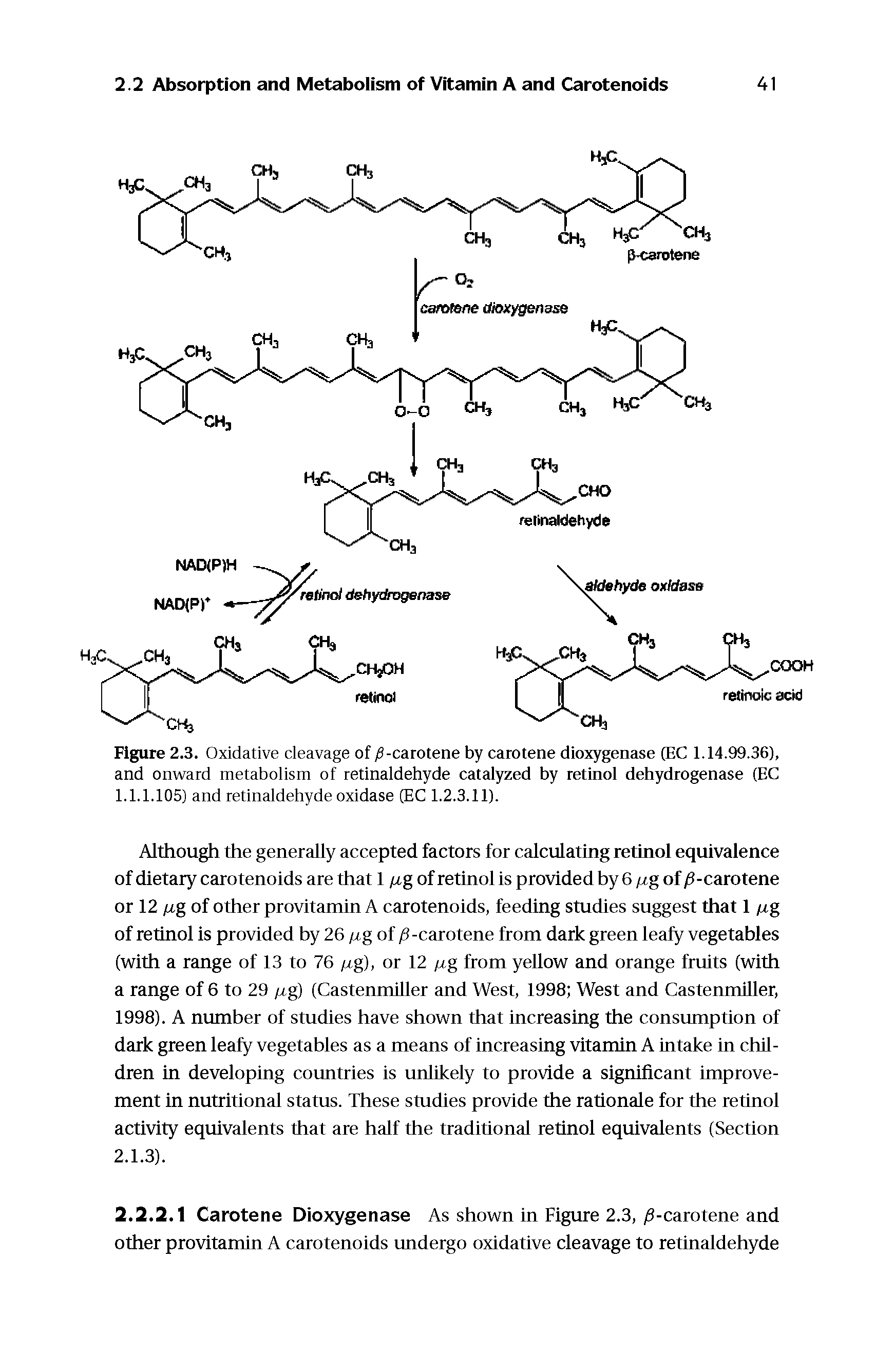 Figure 2.3. Oxidative cleavage of j6-carotene by carotene dioxygenase (EC 1.14.99.36), and onward metabolism of retinaldehyde catalyzed by retinol dehydrogenase (EC 1.1.1.105) and retinaldehyde oxidase (EC 1.2.3.11).