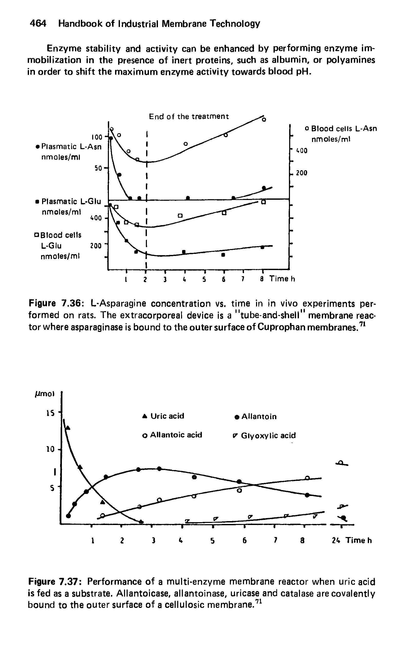 Figure 7.36 L-Asparagine concentration vs. time in in vivo experiments performed on rats. The extracorporeal device is a "tube-and-shell" membrane reactor where asparaginase is bound to the outer surface of Cuprophan membranes.71...