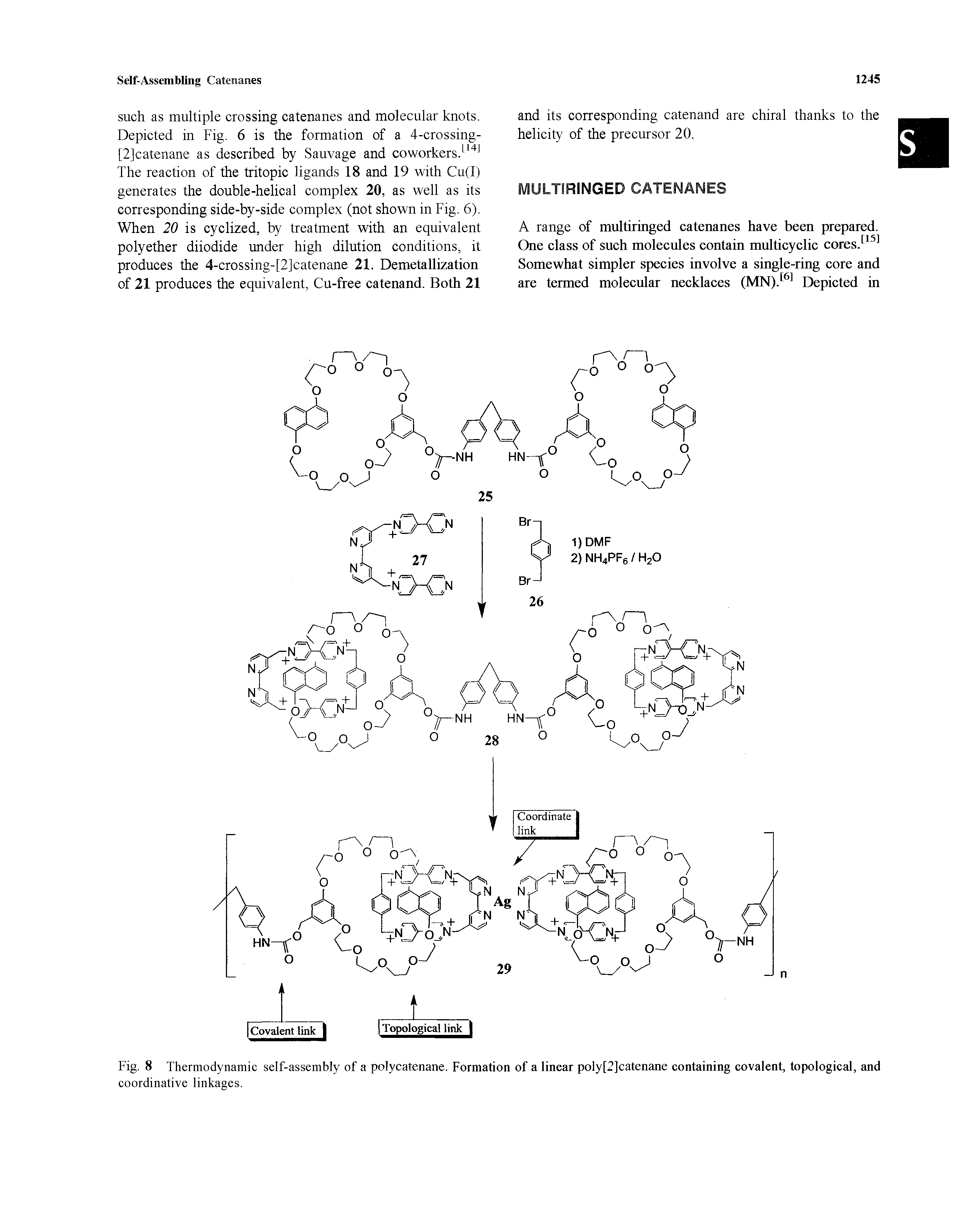 Fig. 8 Thermodynamic self-assembly of a polycatenane. Formation of a linear poly[2]catenane containing covalent, topological, and...