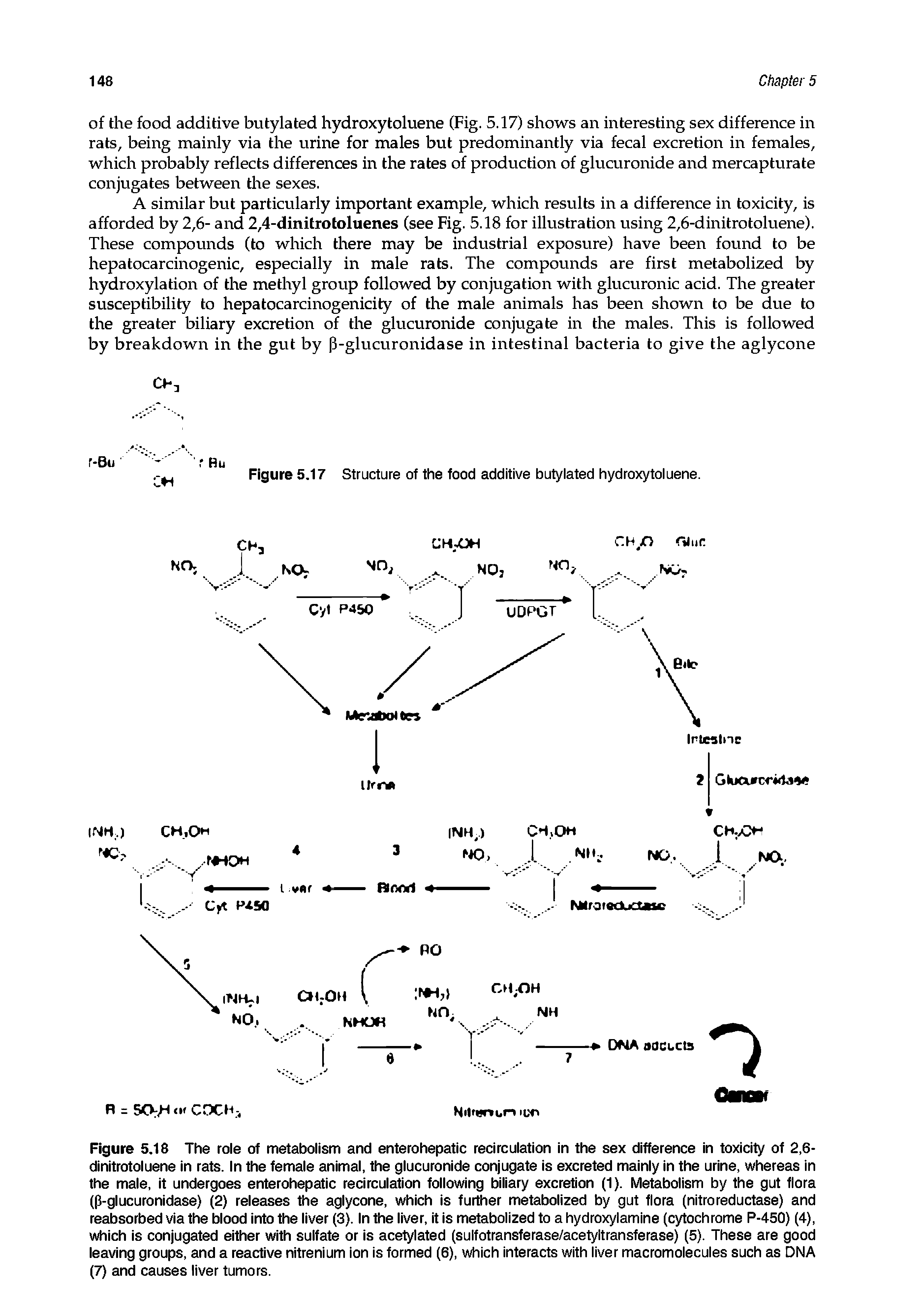 Figure 5.17 Structure of the food additive butylated hydroxy toluene.