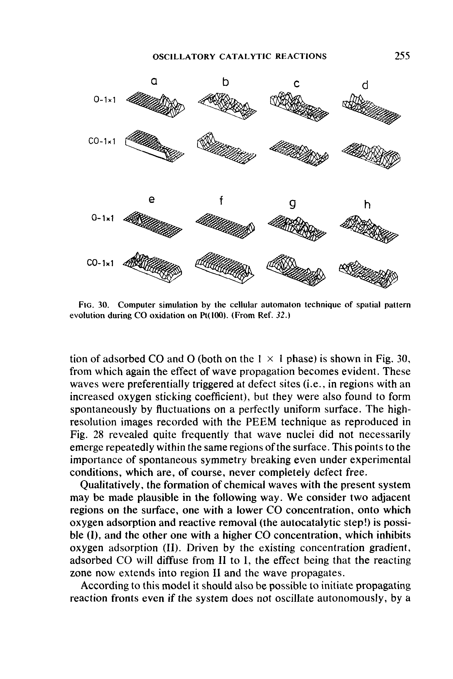 Fig. 30. Computer simulation by the cellular automaton technique of spatial pattern evolution during CO oxidation on Pt(100). (From Ref. 32.)...