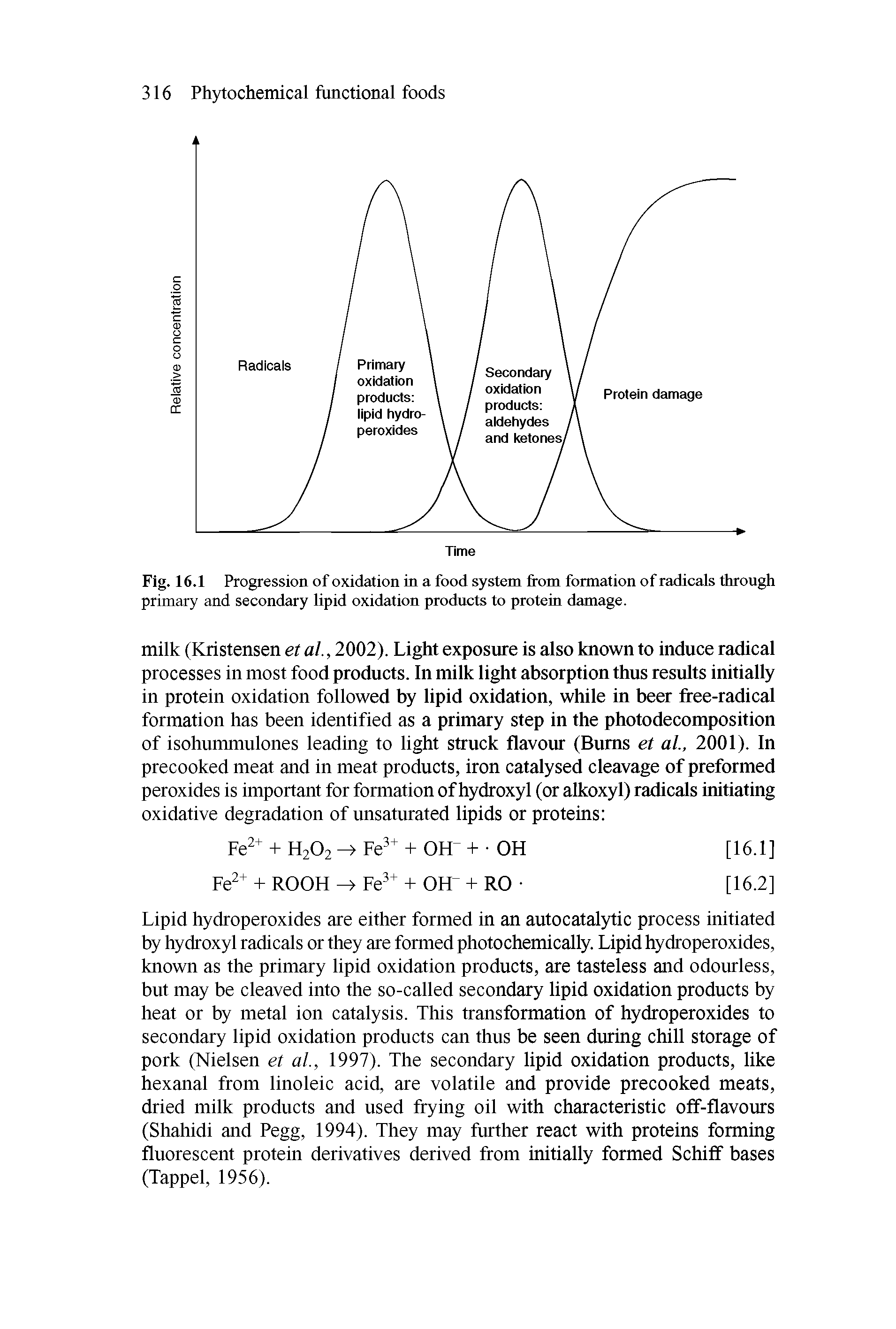 Fig. 16.1 Progression of oxidation in a food system from formation of radicals through primary and secondary lipid oxidation products to protein damage.