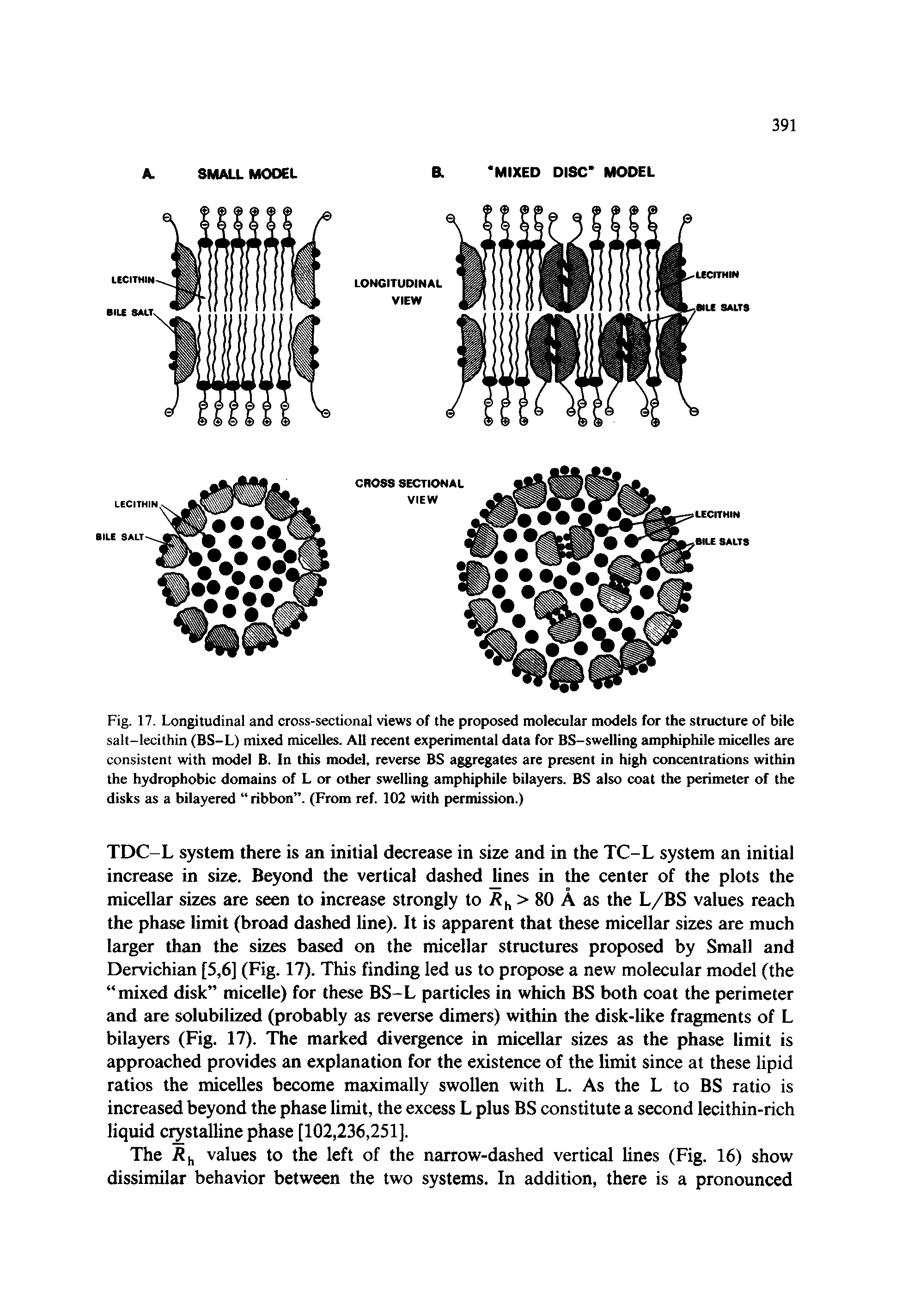 Fig. 17. Longitudinal and cross-sectional views of the proposed molecular models for the structure of bile salt-lecithin (BS-L) mixed micelles. All recent experimental data for BS-swelling amphiphile micelles are consistent with model B. In this model, reverse BS aggregates are present in high concentrations within the hydrophobic domains of L or other swelling amphiphile bilayers. BS also coat the perimeter of the disks as a bilayered ribbon . (From ref. 102 with permission.)...