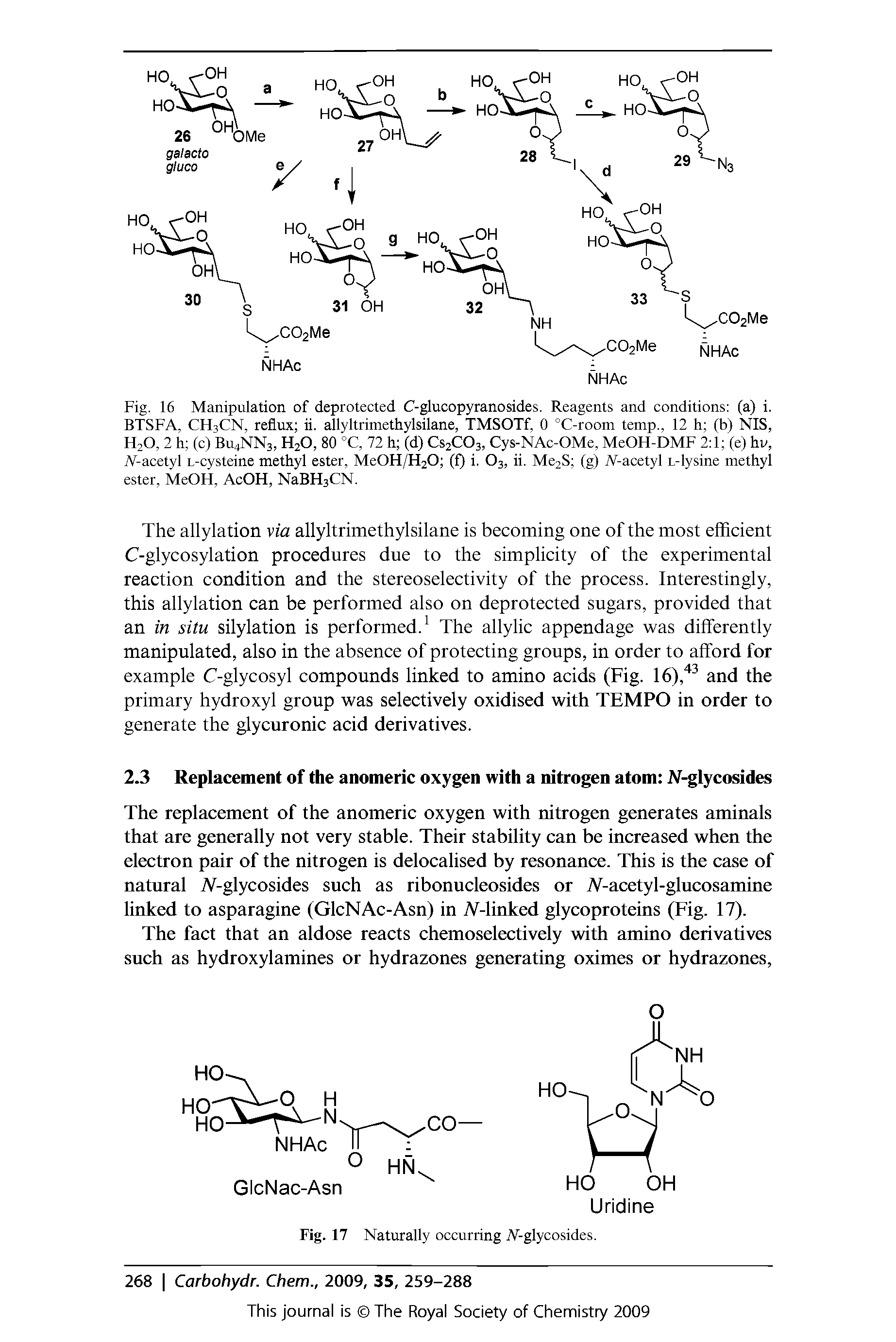 Fig. 16 Manipulation of deprotected C-glucopyranosides. Reagents and conditions (a) i. BTSFA, CH3CN, reflux ii. allyltrimethylsilane, TMSOTf, 0 °C-room temp., 12 h (b) NIS, HzO, 2 h (c) Bu4NN3, H20, 80 °C, 72 h (d) Cs2C03, Cys-NAc-OMe, MeOH-DMF 2 1 (e) hv, W-acetyl L-cvsteine methyl ester, MeOH/H20 (f) i. 03, ii. Me2S (g) W-acetyl L-lysine methyl ester, MeOH, AcOH, NaBH3CN.