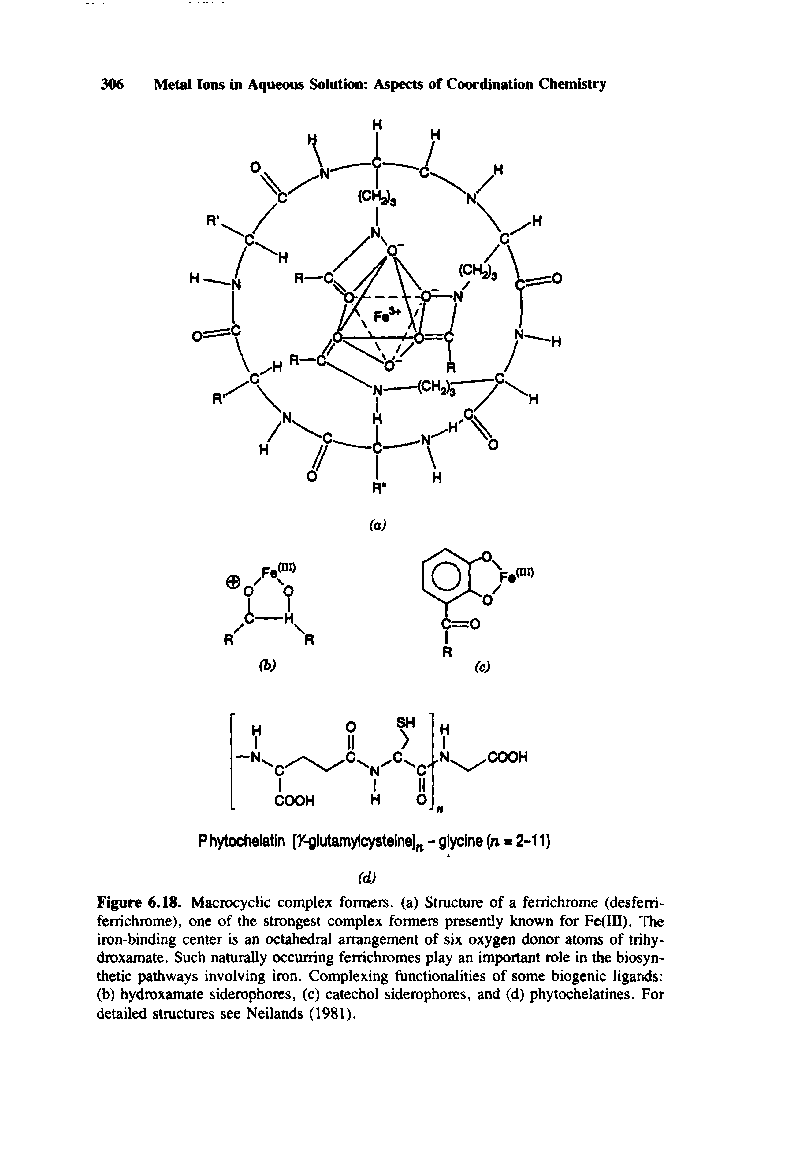 Figure 6.18. MacrcKyclic complex fonners. (a) Structure of a ferrichrome (desferri-ferrichrome), one of the strongest complex formers presently known for Fe(III). The iron-binding center is an octahedral arrangement of six oxygen donor atoms of trihy-droxamate. Such naturally occurring ferrichromes play an important role in the biosynthetic pathways involving iron. Complexing functionalities of some biogenic ligands (b) hydroxamate siderophores, (c) catechol siderophores, and (d) phytochelatines. For detailed structures see Neilands (1981).