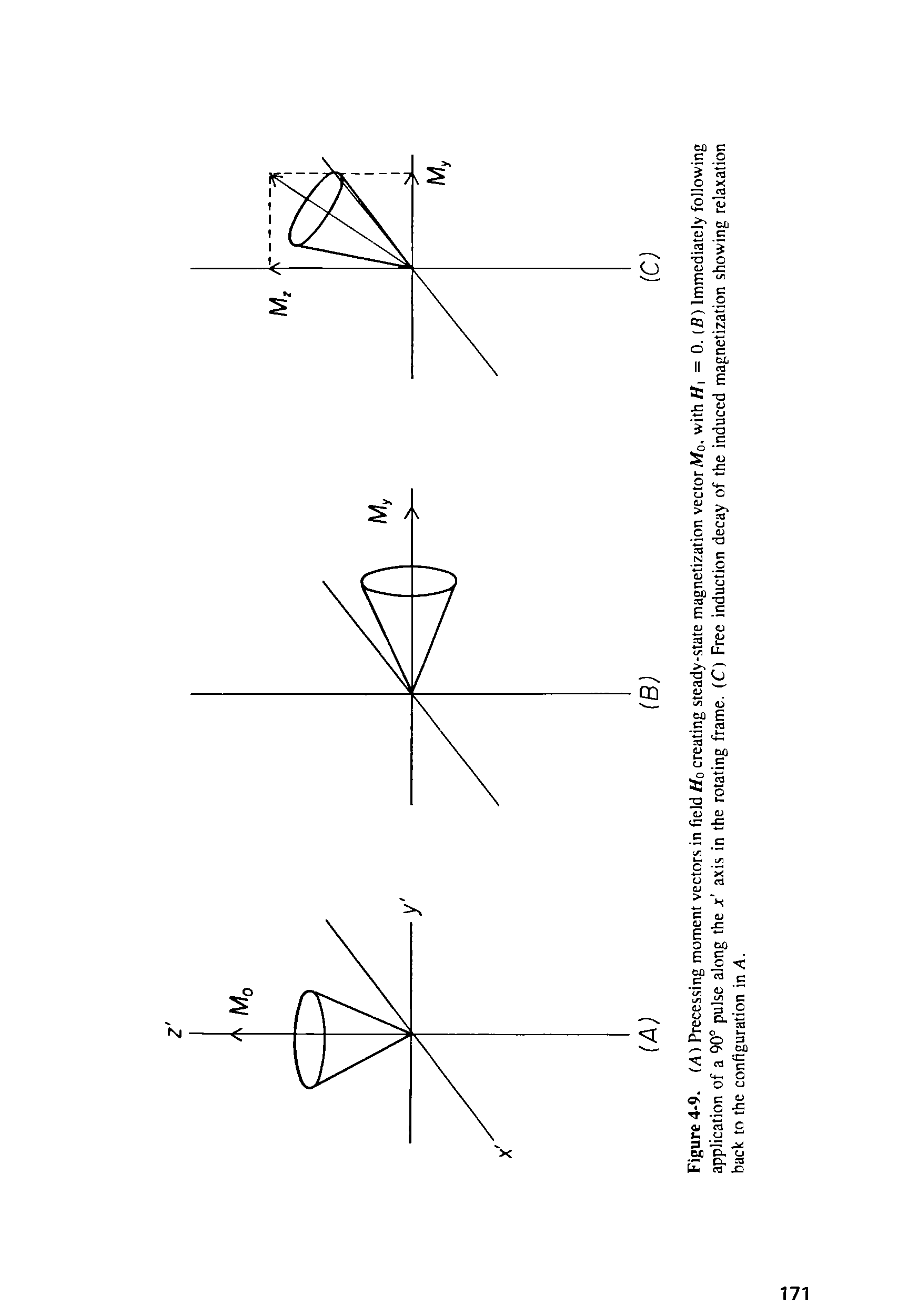 Figure 4-9. (Ai Precessing moment vectors in field tfo creating steady-state magnetization vector Afo. with//i = 0. (B) Immediately following application of a 90° pulse along the x axis in the rotating frame. (C) Free induction decay of the induced magnetization showing relaxation back to the configuration in A.