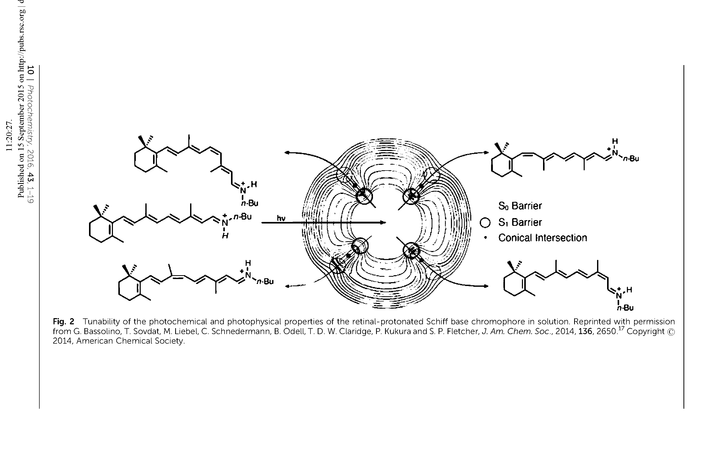 Fig. 2 Tunability of the photochemical and photophysical properties of the retinal-protonated Schiff base chromophore in solution. Reprinted with permission from G. Bassolino, T. Sovdat, M. Liebel, C. Schnedermann, B. Odell, T. D. W. Claridge, P. Kukura and S. P. Fletcher, J. Am. Chem. Soc., 2014,136, 2650. Copyright 2014, American Chemical Society.