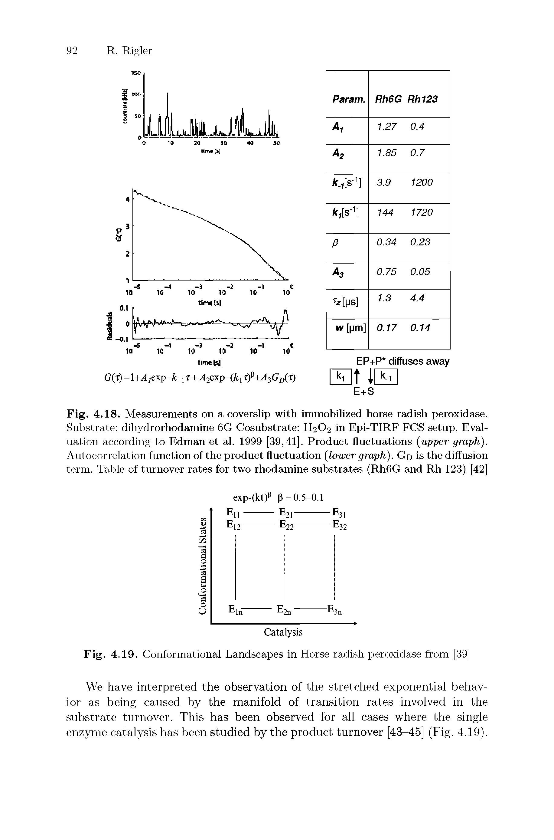 Fig. 4.18. Measurements on a coverslip with immobilized horse radish peroxidase. Substrate dihydrorhodamine 6G Cosubstrate H2O2 in Epi-TIRF PCS setup. Evai-uation according to Edman et ai. 1999 [39,41]. Product fluctuations (upper graph). Autocorrelation function of the product fluctuation (lower graph). Gd is the diffusion term. Table of turnover rates for two rhodamine substrates (Rh6G and Rh 123) [42]...