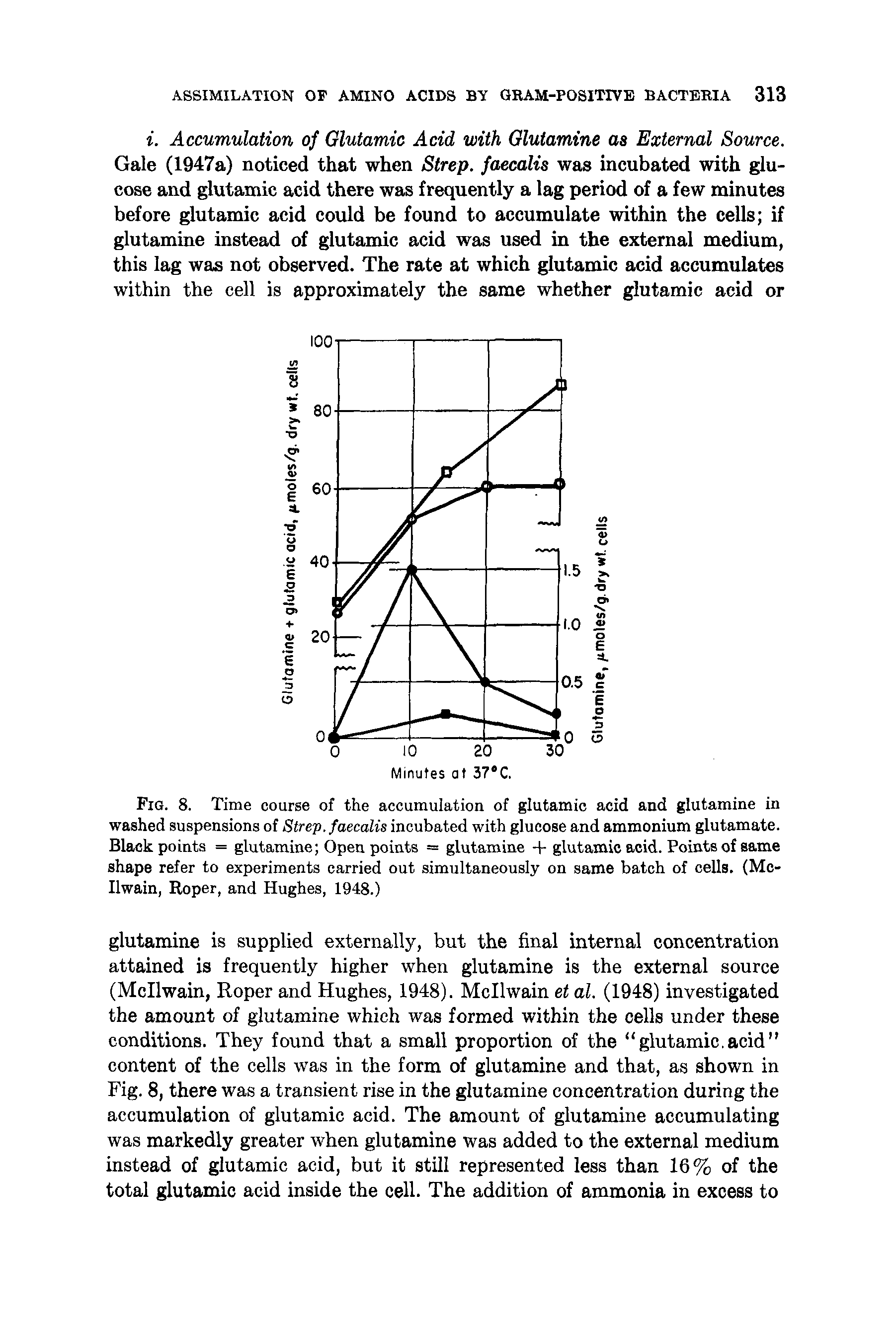 Fig. 8. Time course of the accumulation of glutamic acid and glutamine in washed suspensions of Strep, faecalis incubated with glucose and ammonium glutamate. Black points = glutamine Open points = glutamine + glutamic acid. Points of same shape refer to experiments carried out simultaneously on same batch of cells. (Mc-Ilwain, Roper, and Hughes, 1948.)...