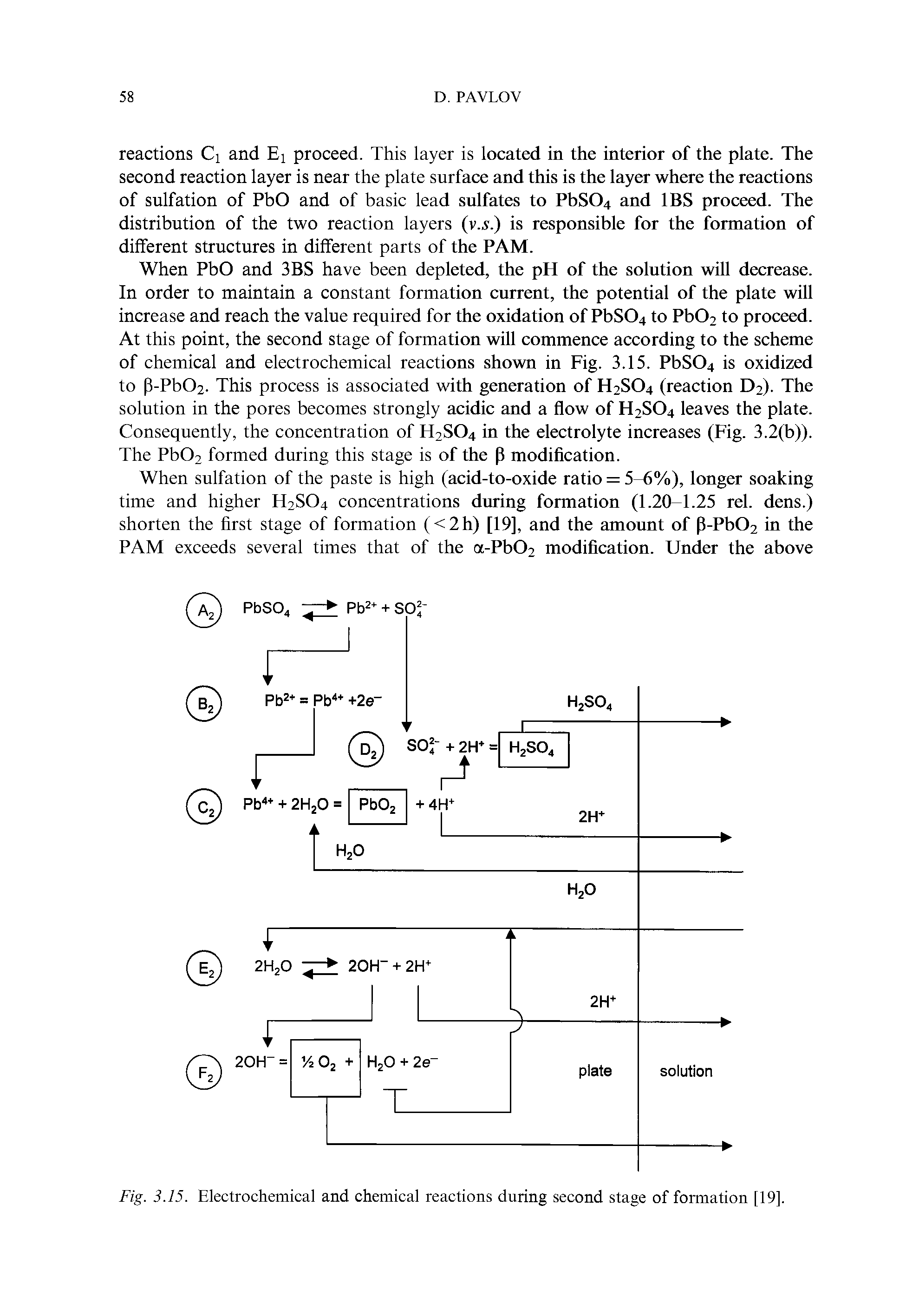 Fig. 3.15. Electrochemical and chemical reactions during second stage of formation [19].