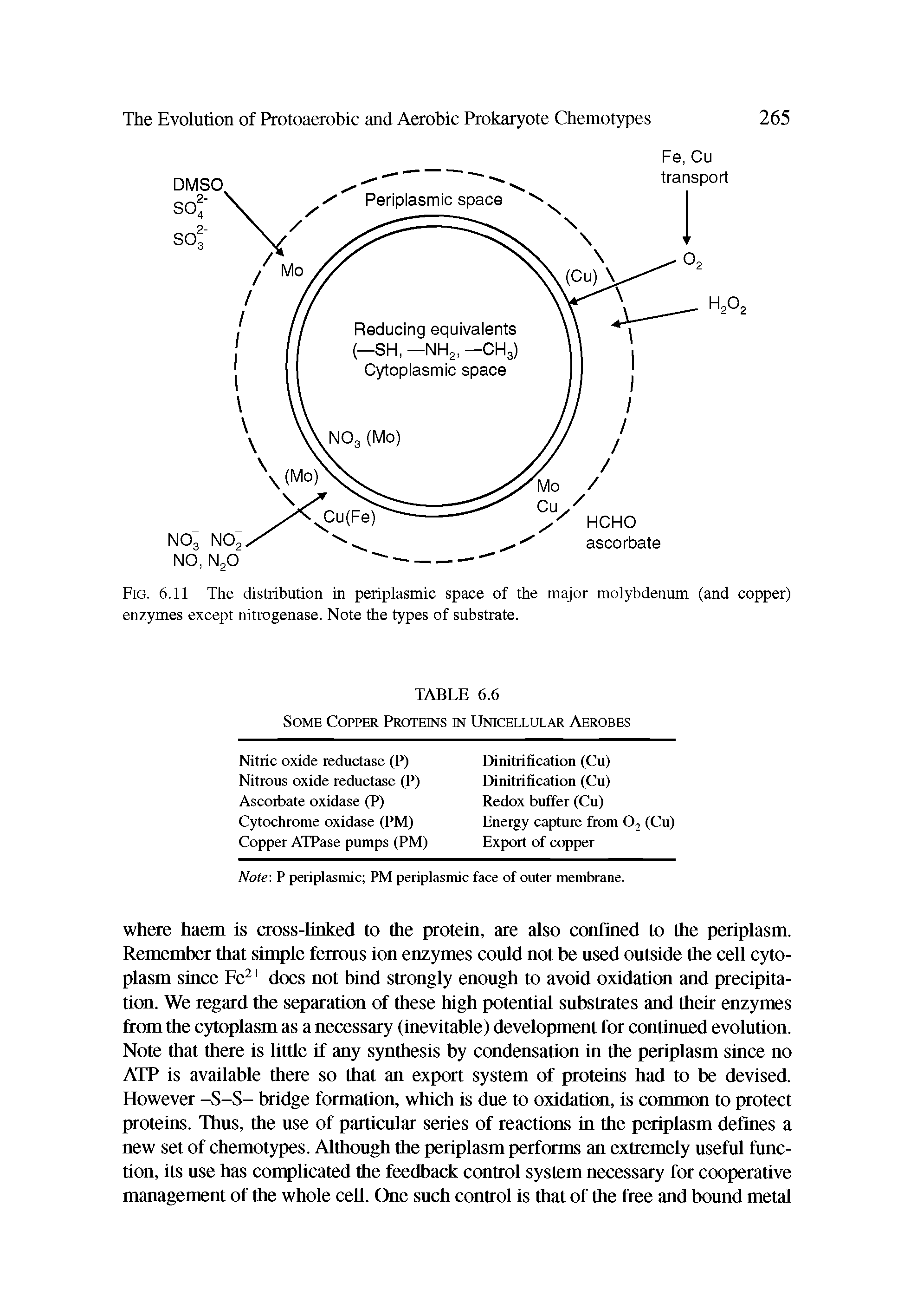 Fig. 6.11 The distribution in periplasmic space of the major molybdenum (and copper) enzymes except nitrogenase. Note the types of substrate.