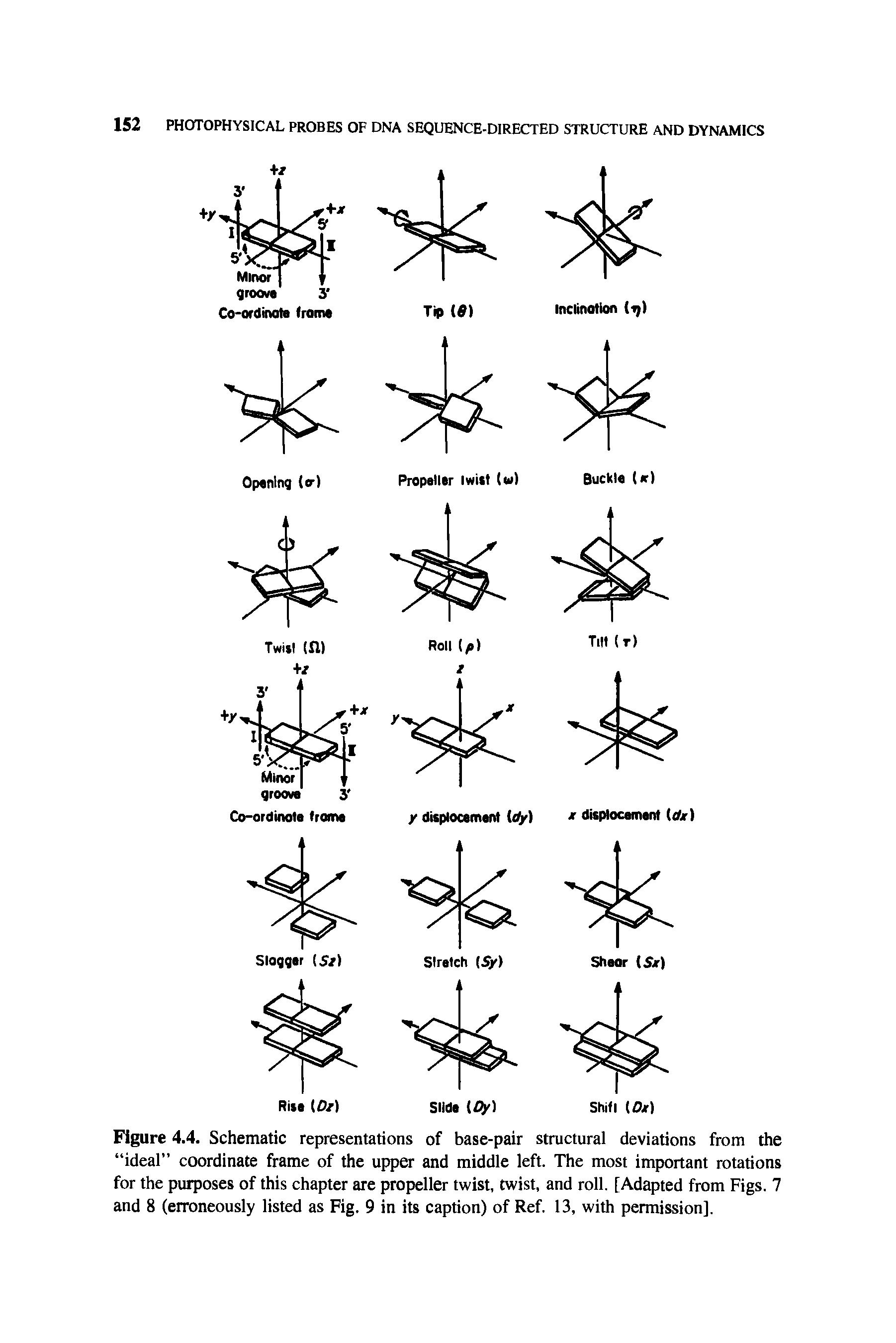 Figure 4.4. Schematic representations of base-pair structural deviations from the ideal coordinate frame of the upper and middle left. The most important rotations for the purposes of this chapter are propeller twist, twist, and roll. [Adapted from Figs. 7 and 8 (erroneously listed as Fig. 9 in its caption) of Ref. 13, with permission].