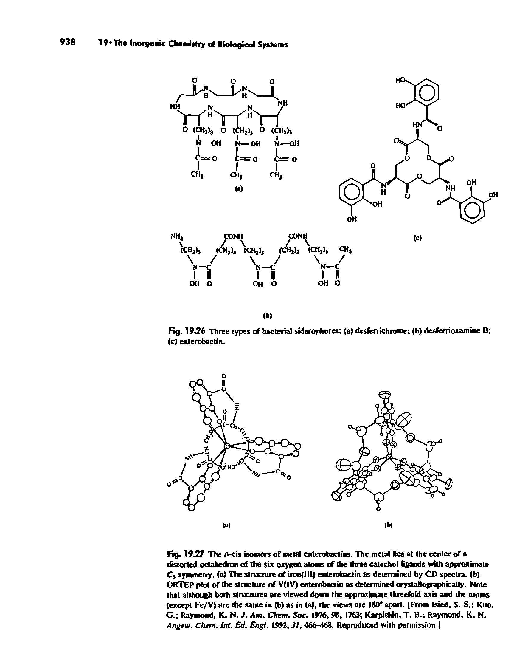Fig. 19.26 Three types of bacterial siderophores (a) desferrichrome (b) desferrioxamine B (cl enierobactin.