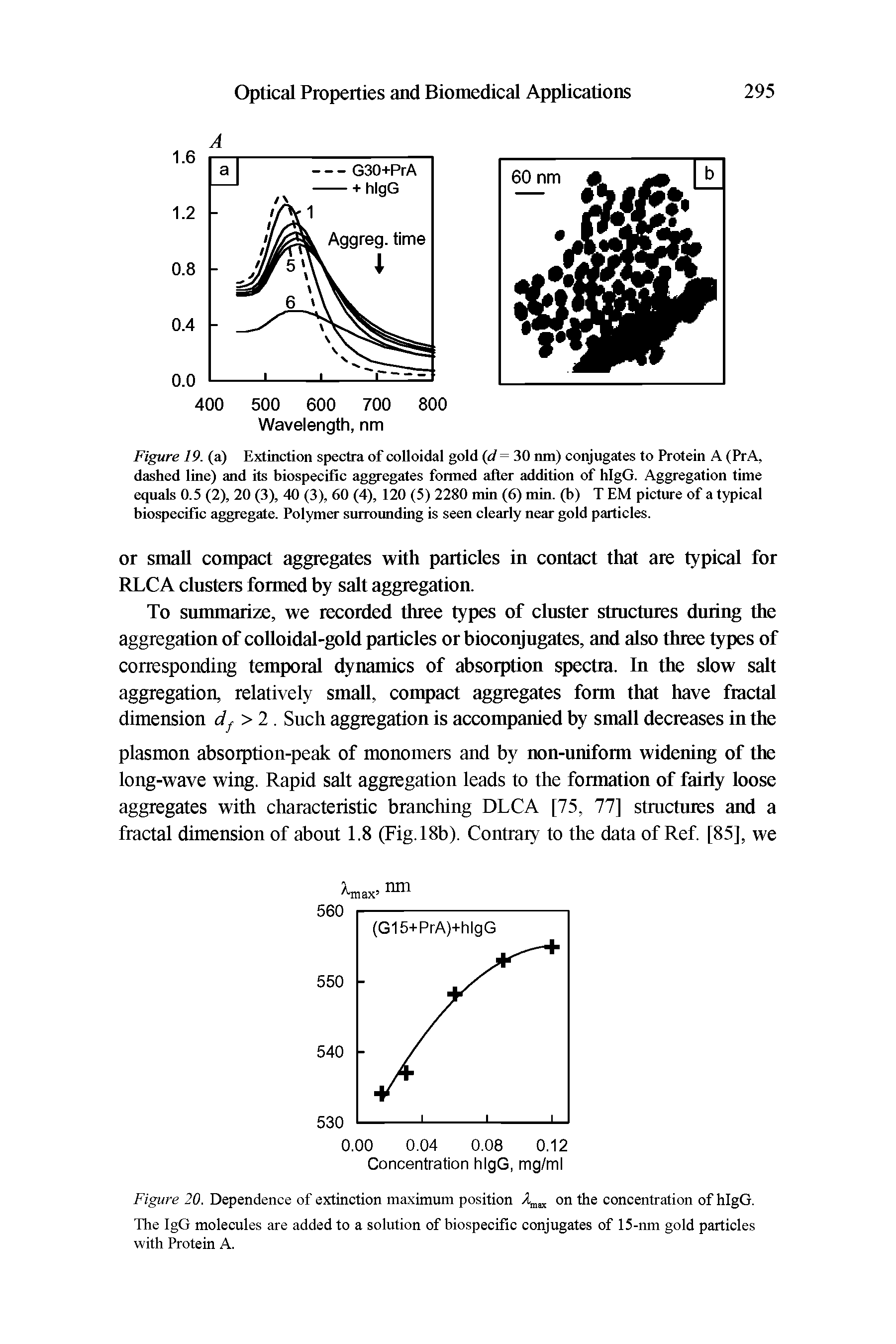 Figure 20. Dependence of extinction maximum position 2, on the concentration of hlgG.