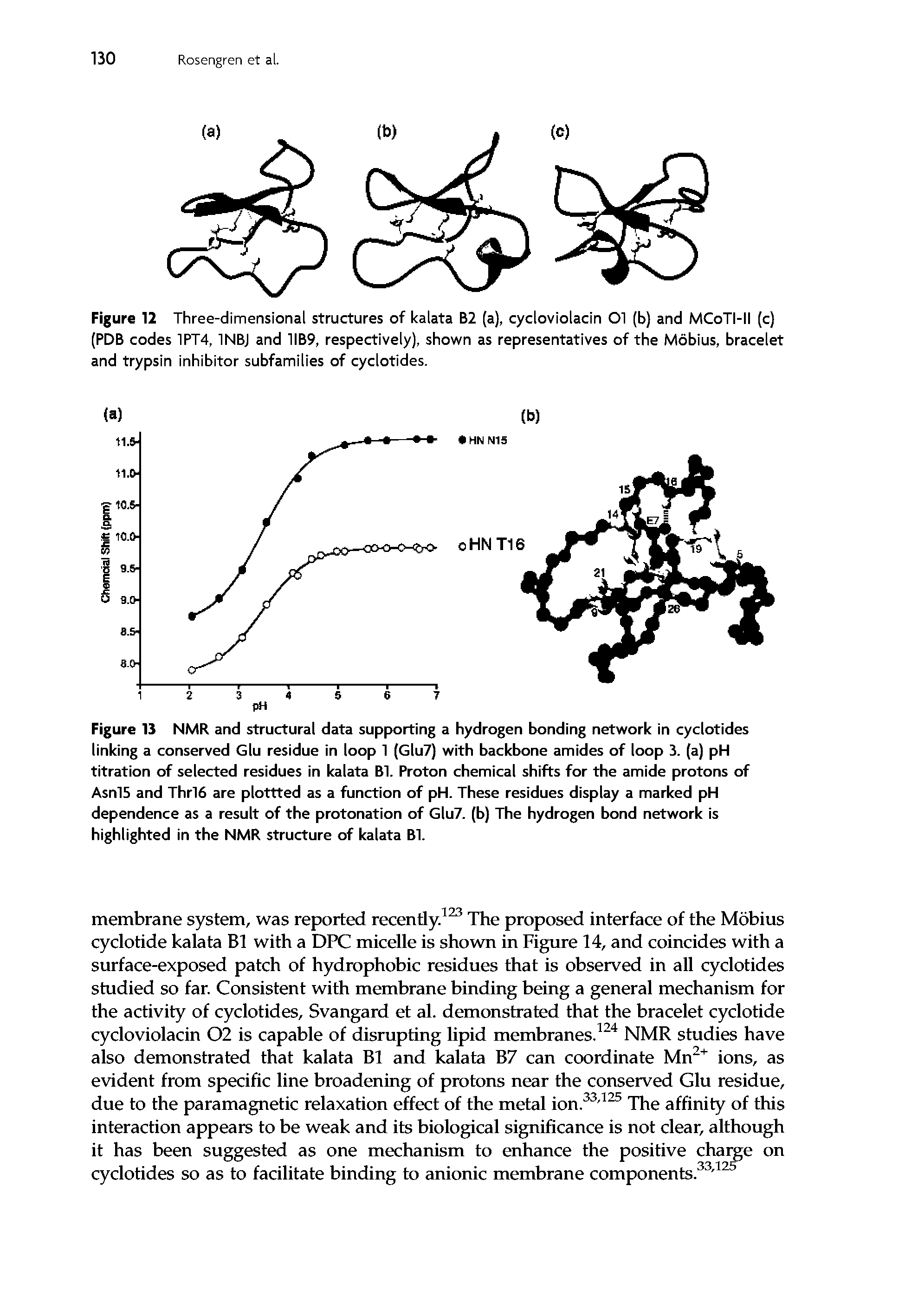 Figure 13 NMR and structural data supporting a hydrogen bonding network in cyclotides linking a conserved Glu residue in loop 1 (Glu7) with backbone amides of loop 3. (a) pH titration of selected residues in kalata Bl. Proton chemical shifts for the amide protons of Asnl5 and Thrl6 are plottted as a function of pH. These residues display a marked pH dependence as a result of the protonation of Glu7. (b) The hydrogen bond network is highlighted in the NMR structure of kalata Bl.