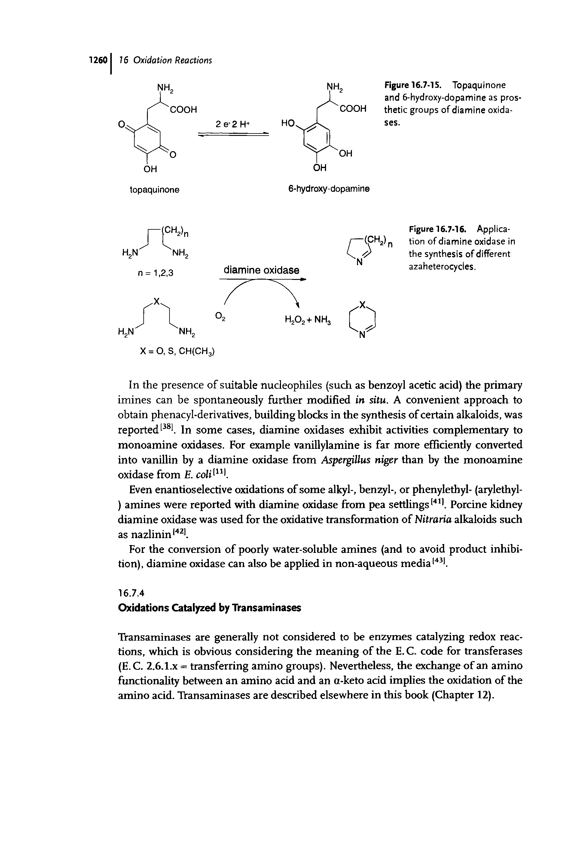 Figure 16.7-15. Topaquinone and 6-hydroxy-dopamine as prosthetic groups of diamine oxidases.