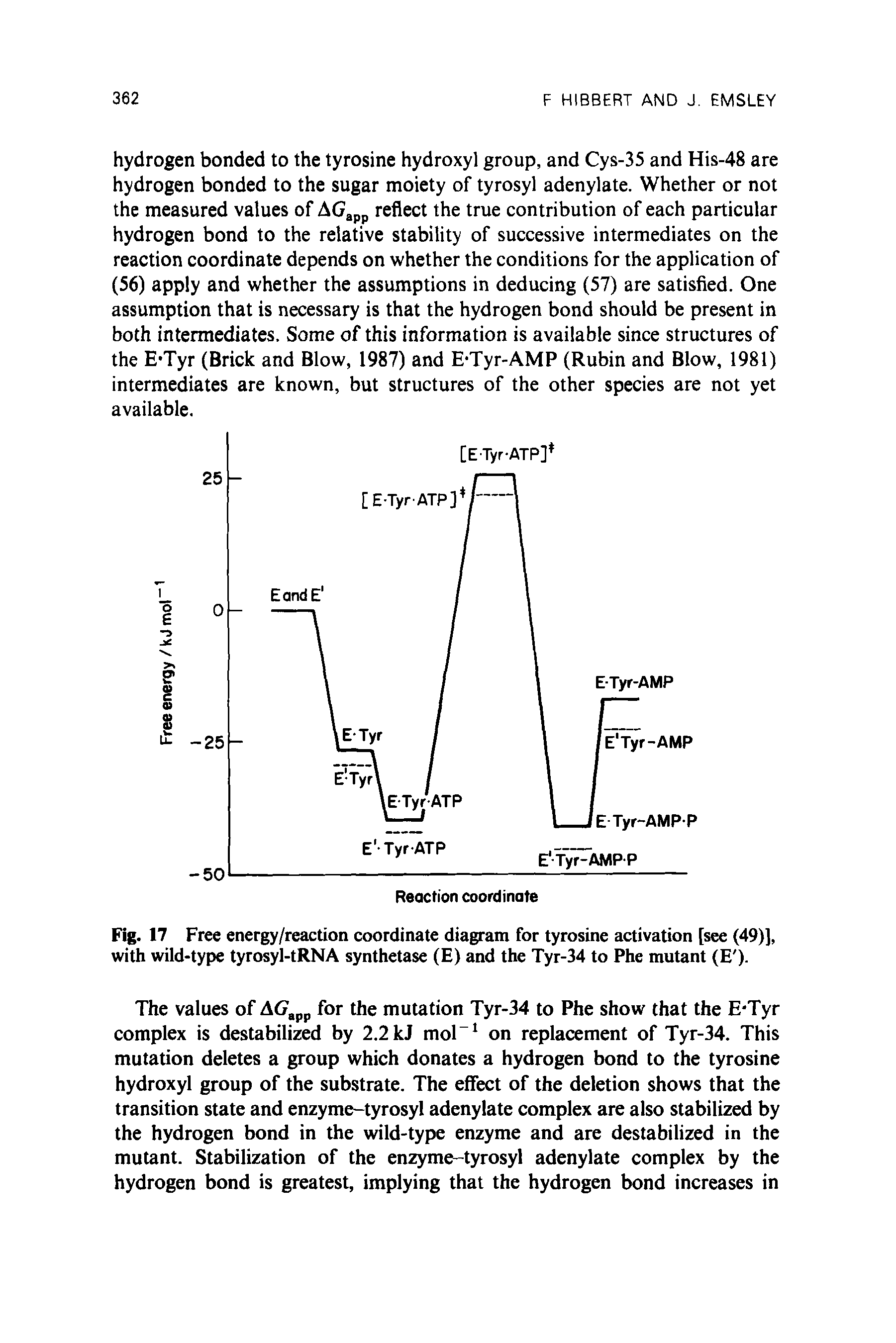 Fig. 17 Free energy/reaction coordinate diagram for tyrosine activation [see (49)], with wild-type tyrosyl-tRNA synthetase (E) and the Tyr-34 to Phe mutant (E ).