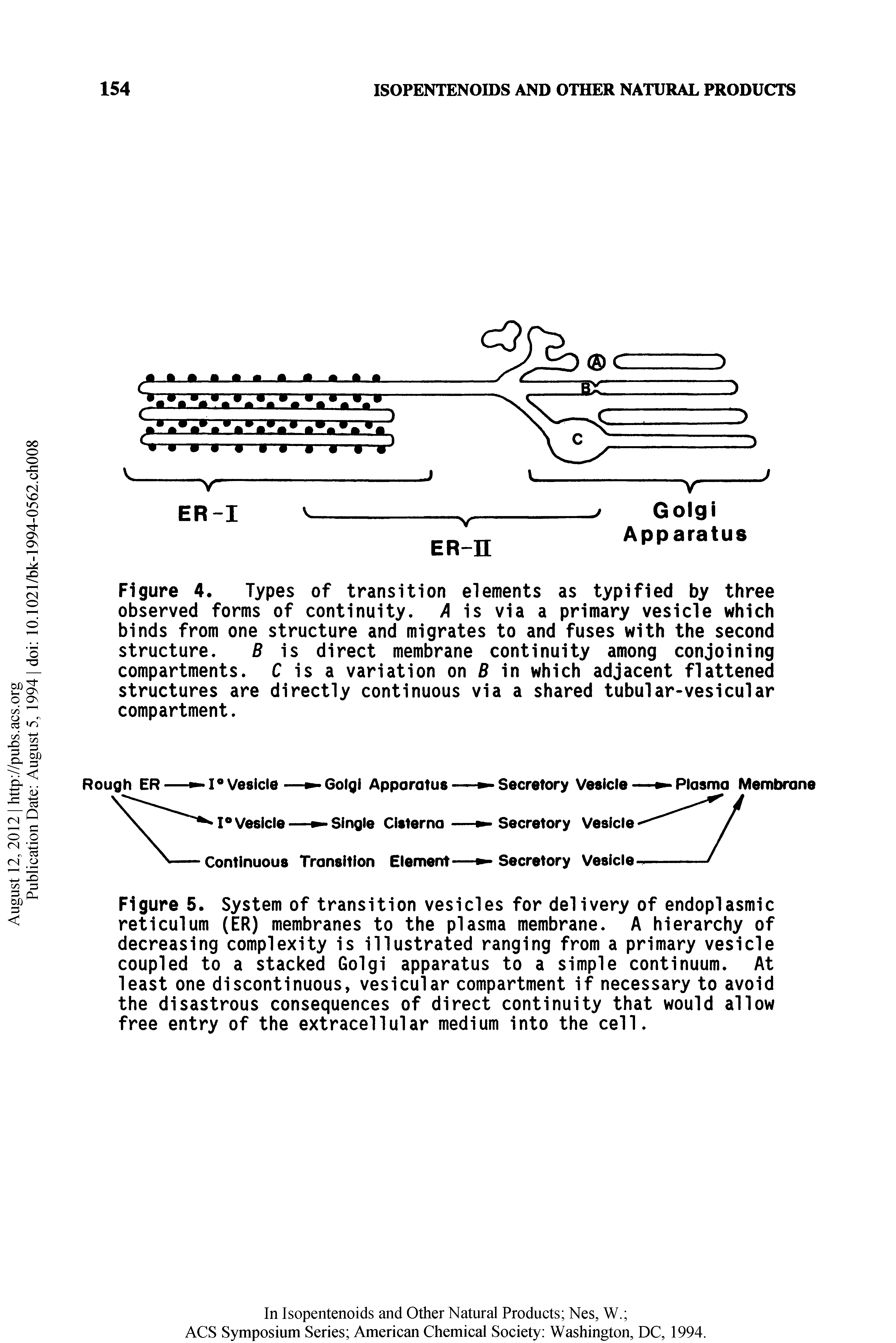 Figure 5. System of transition vesicles for delivery of endoplasmic reticulum (ER) membranes to the plasma membrane. A hierarchy of decreasing complexity is illustrated ranging from a primary vesicle coupled to a stacked Golgi apparatus to a simple continuum. At least one discontinuous, vesicular compartment if necessary to avoid the disastrous consequences of direct continuity that would allow free entry of the extracellular medium into the cell.