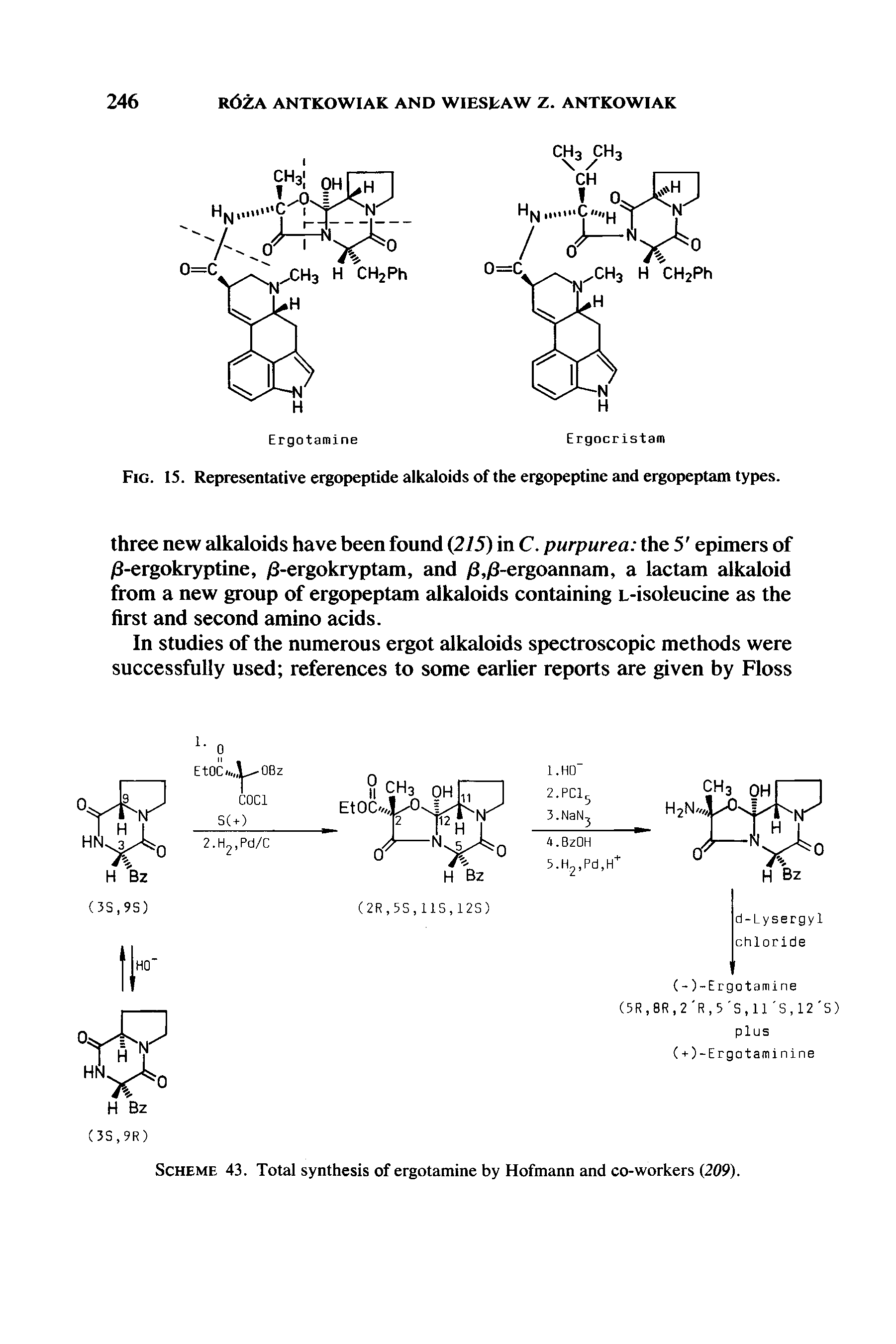 Scheme 43. Total synthesis of ergotamine by Hofmann and co-workers (209).