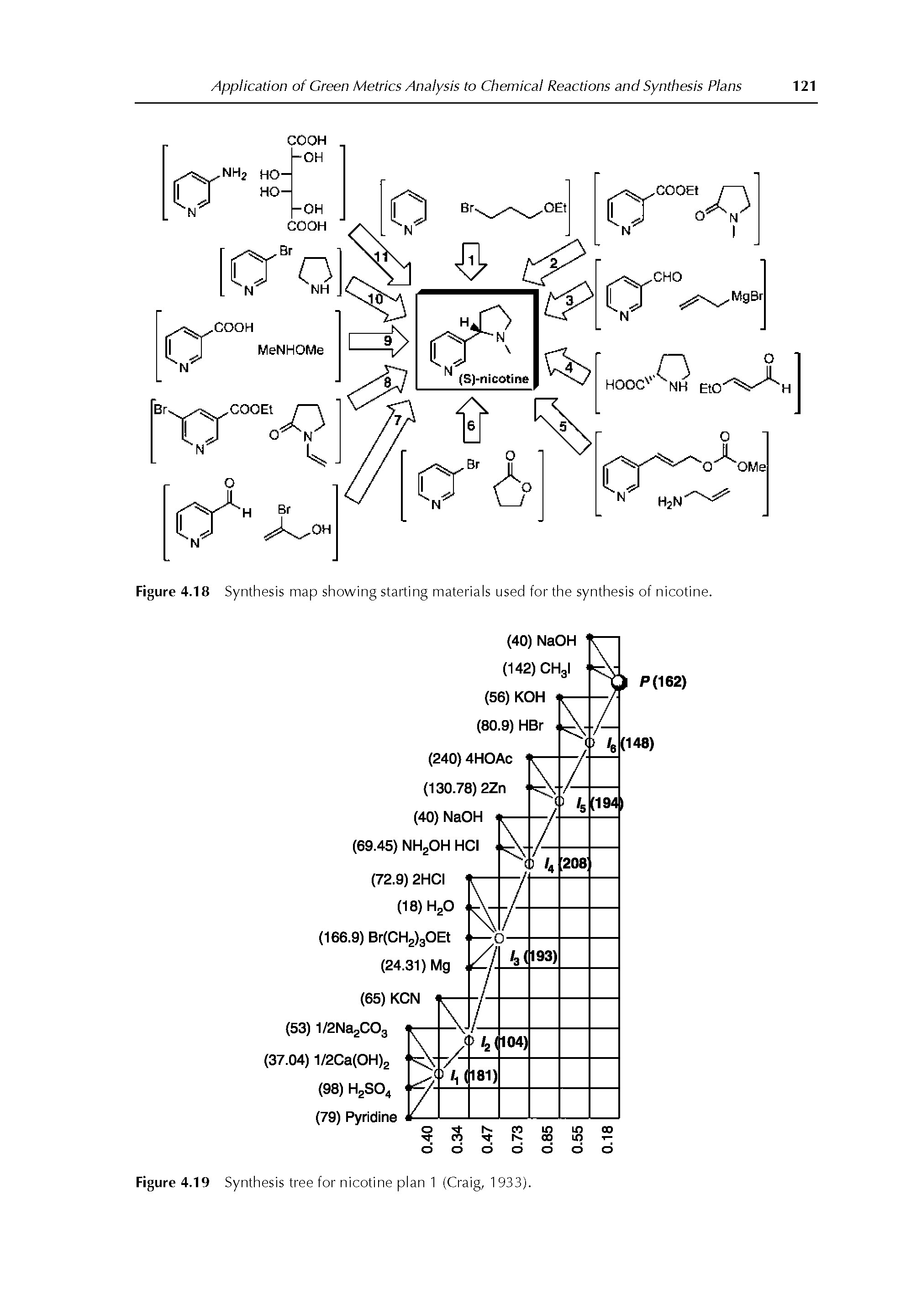 Figure 4.19 Synthesis tree for nicotine plan 1 (Craig, 1 933).