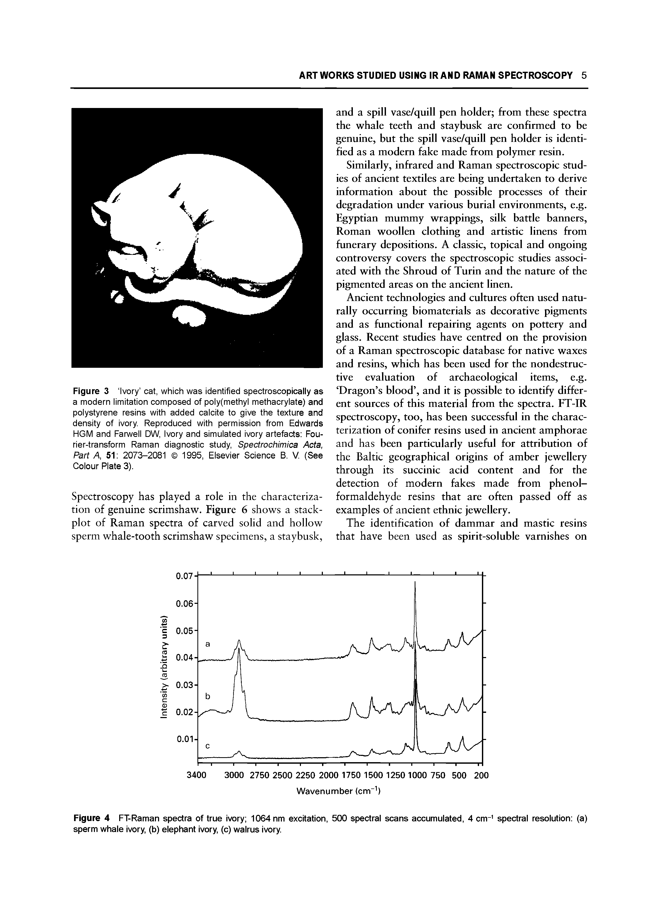 Figure 3 Ivory cat, which was identified spectroscopically as a modern limitation composed of poly(methyl methacrylate) and polystyrene resins with added calcite to give the texture and density of ivory. Reproduced with permission from Edwards HGM and Farwell DW, Ivory and simulated ivory arte cts Fou-rier-transform Raman diagnostic study, Spectrochimica Acta, Part A, 51 2073-2081 1995, Elsevier Science B. V. (See Colour Plate 3).