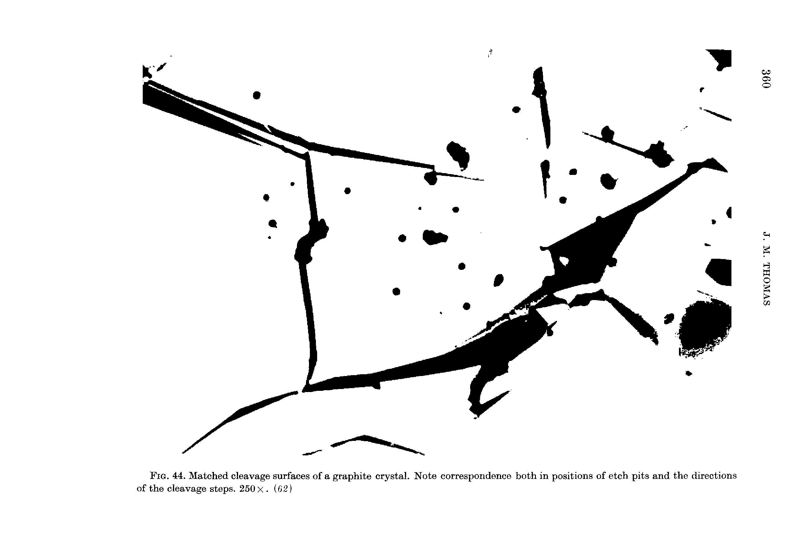 Fig. 44. Matched cleavage surfaces of a graphite crystal. Note correspondence both in positions of etch pits and the directions of the cleavage steps. 250 x. (62)...