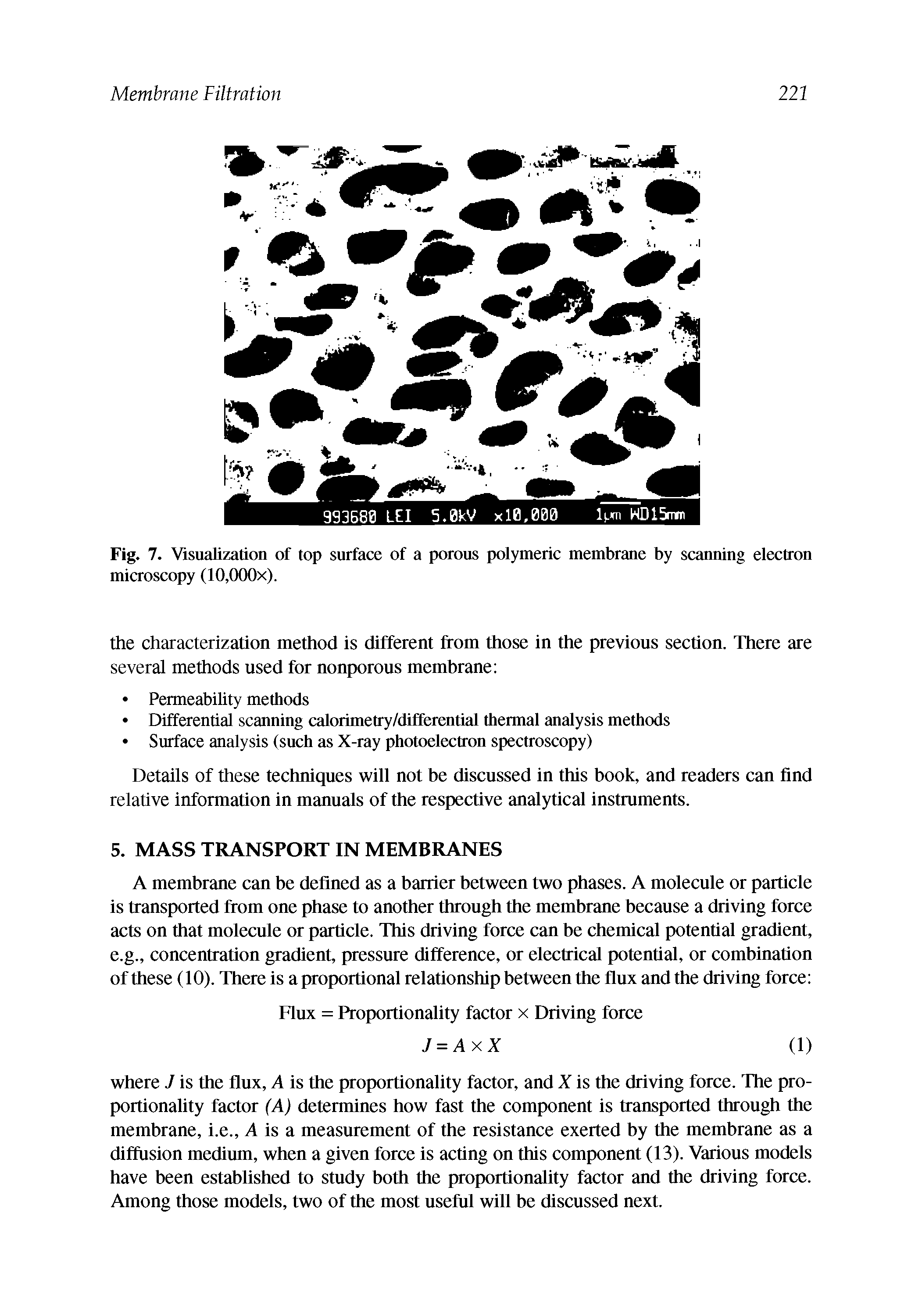 Fig. 7. Visualization of top surface of a porous polymeric membrane by scanning electron microscopy (10,000x).