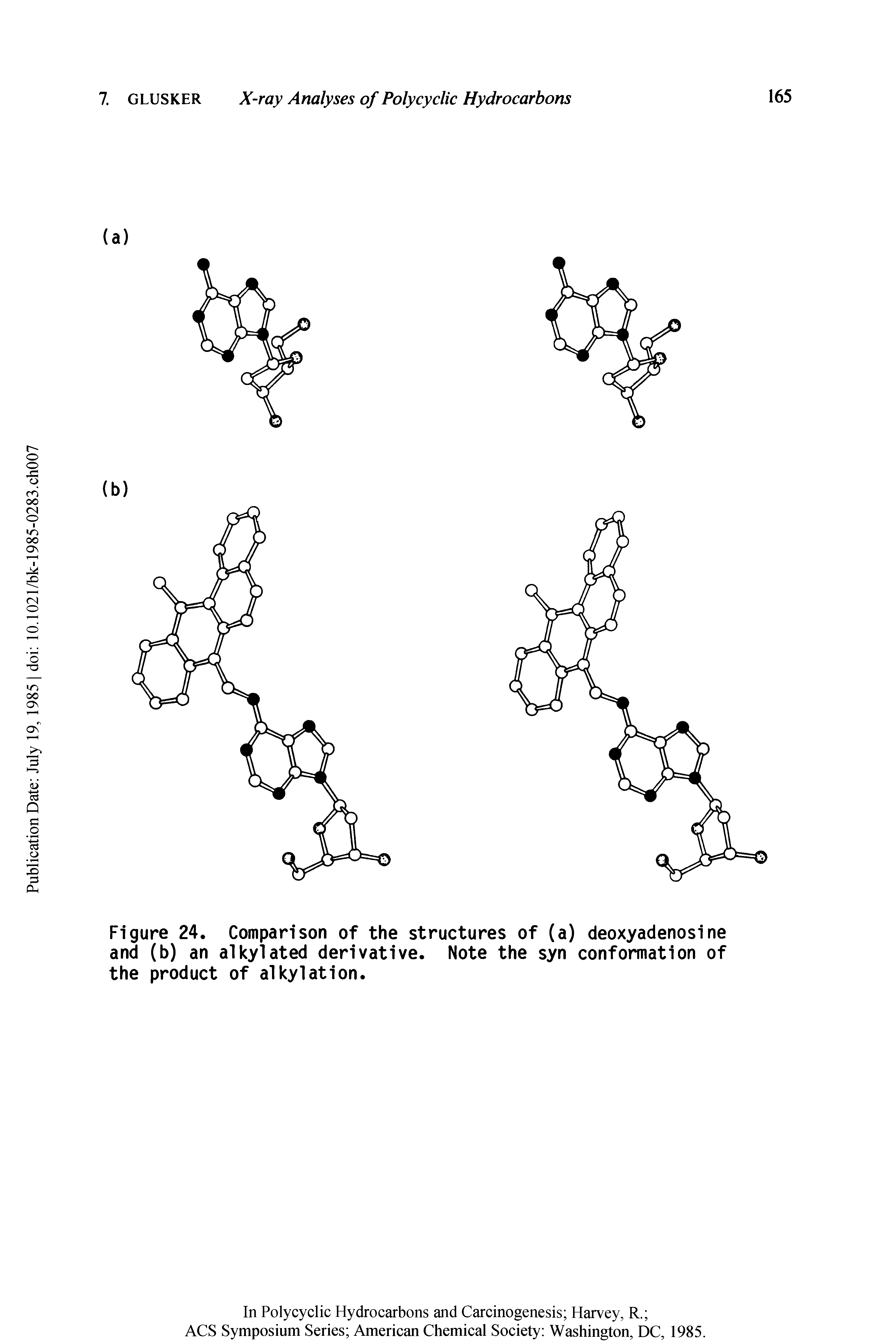 Figure 24. Comparison of the structures of (a) deoxyadenosine and (b) an alkylated derivative. Note the syn conformation of the product of alkylation.