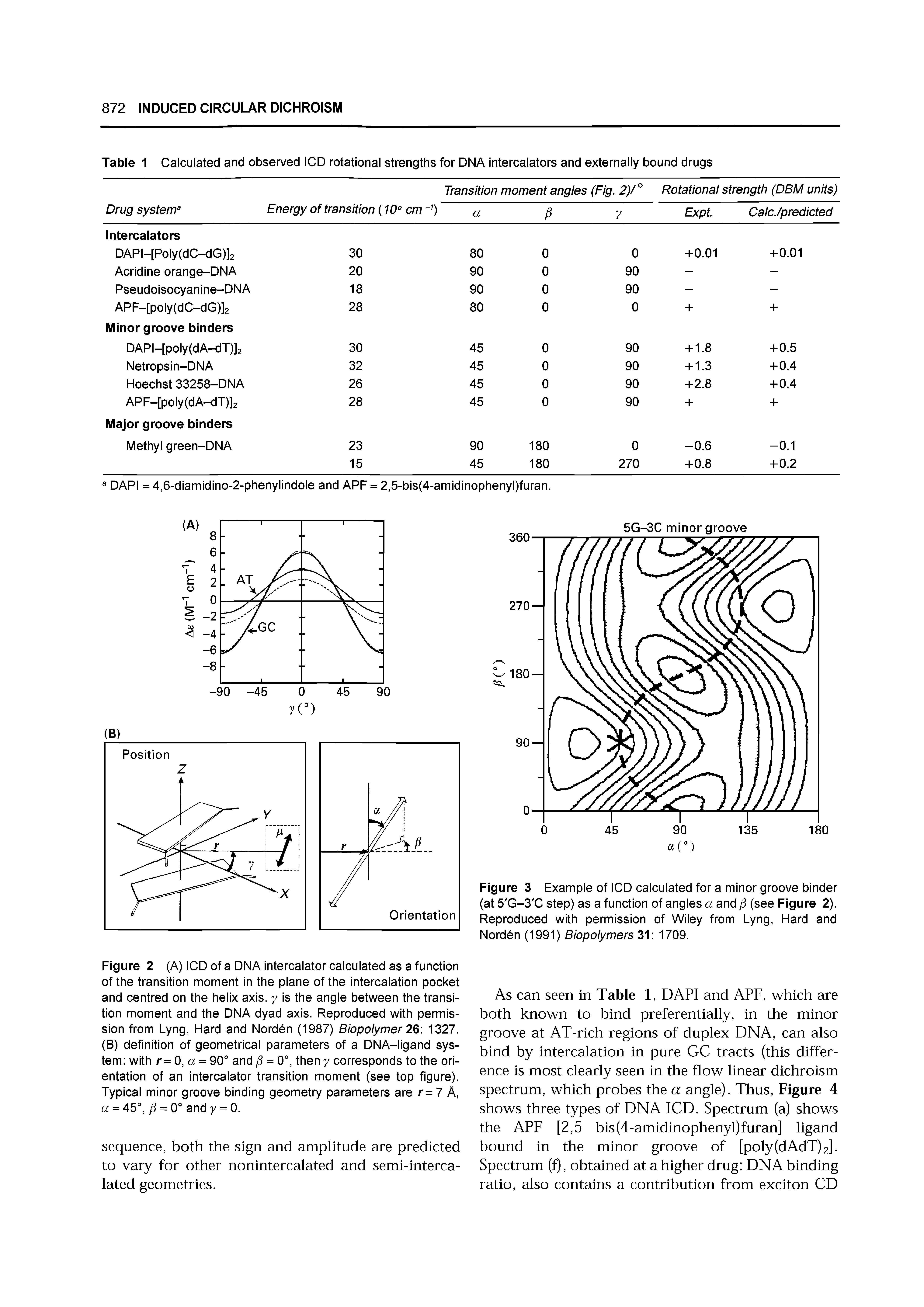 Figure 2 (A) ICD of a DNA intercalator calculated as a function of the transition moment in the plane of the intercalation pocket and centred on the helix axis, y is the angle between the transition moment and the DNA dyad axis. Reproduced with permission from Lyng, Hard and Norden (1987) Biopolymer 2Q 1327. (B) definition of geometrical parameters of a DNA-ligand system with r=0,a = 90° and p = 0°, then y corresponds to the orientation of an intercalator transition moment (see top figure). Typical minor groove binding geometry parameters are r= 7 A, a = 45°, = 0° and y = 0.