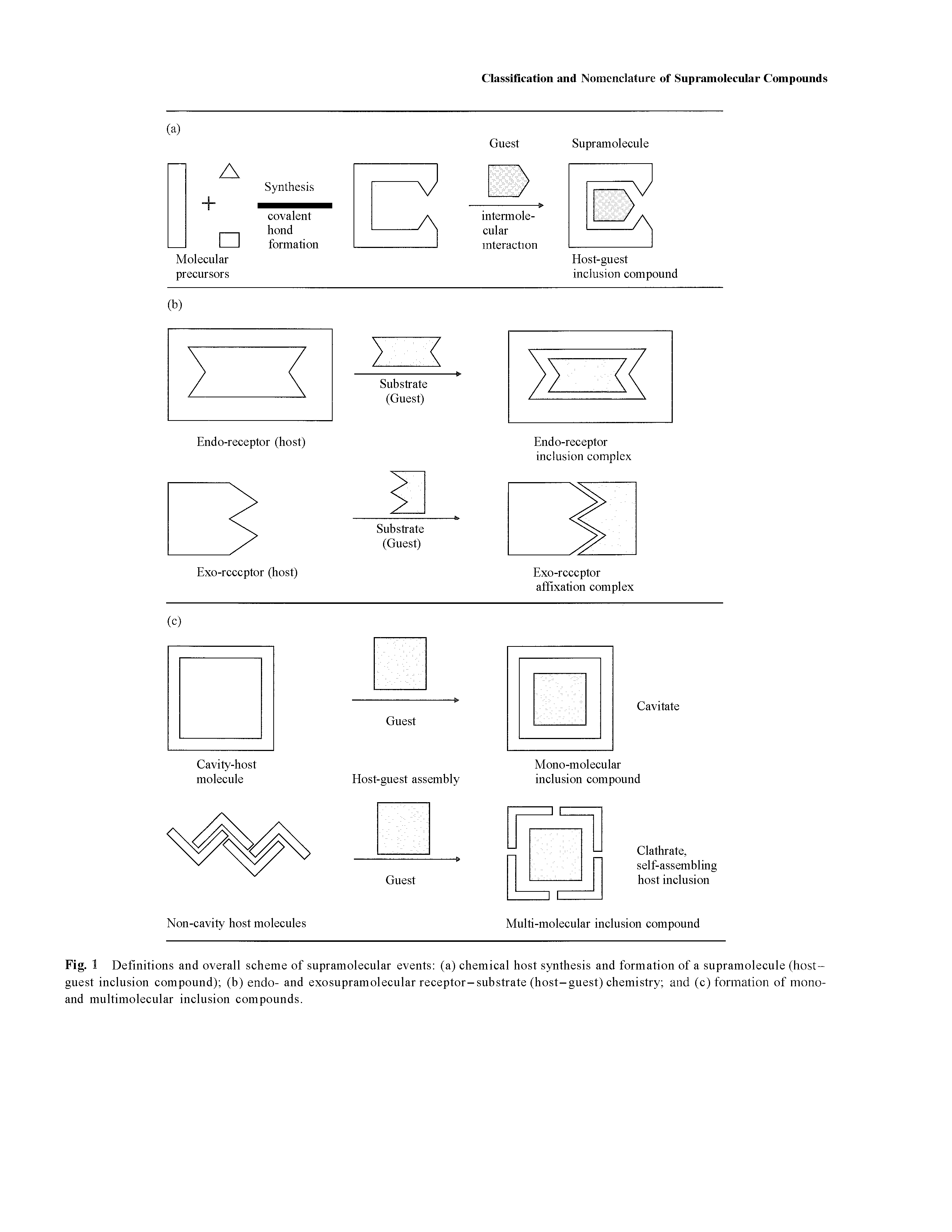 Fig. 1 Definitions and overall scheme of supramolecular events (a) chemical host synthesis and formation of a supramolecule (host-guest inclusion compound) (b) endo- and exosupramolecular receptor-substrate (host-guest) chemistry and (c) formation of mono-and multimolecular inclusion compounds.