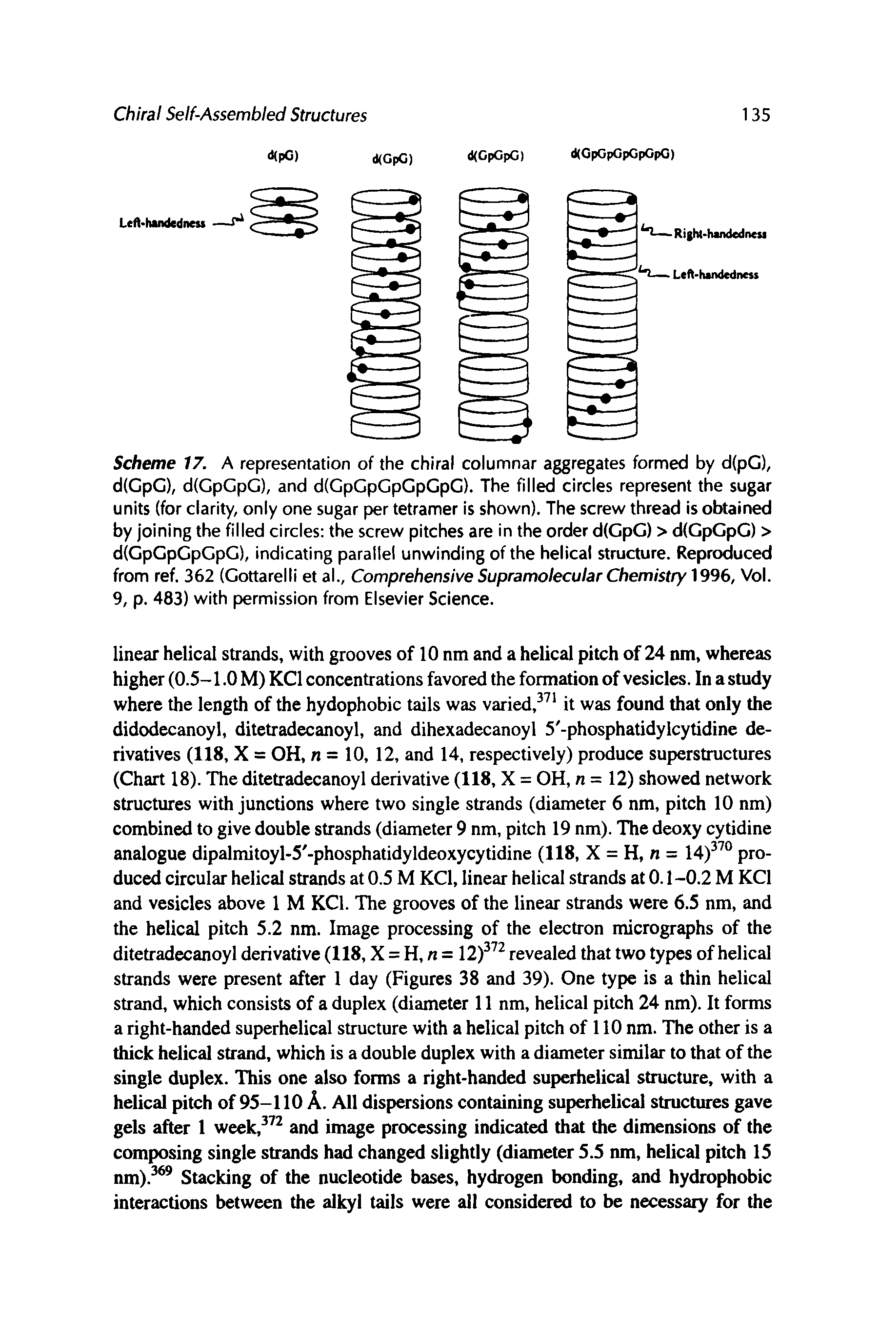 Scheme 17. A representation of the chiral columnar aggregates formed by d(pG), d(GpG), d(GpGpG), and d(GpGpGpGpGpG). The filled circles represent the sugar units (for clarity, only one sugar per tetramer is shown). The screw thread is obtained by joining the filled circles the screw pitches are in the order d(GpG) > d(GpGpG) > d(GpGpCpGpG), indicating parallel unwinding of the helical structure. Reproduced from ref. 362 (Gottarelli et al., Comprehensive Supramolecular Chemistry 1996, Vol. 9, p. 483) with permission from Elsevier Science.